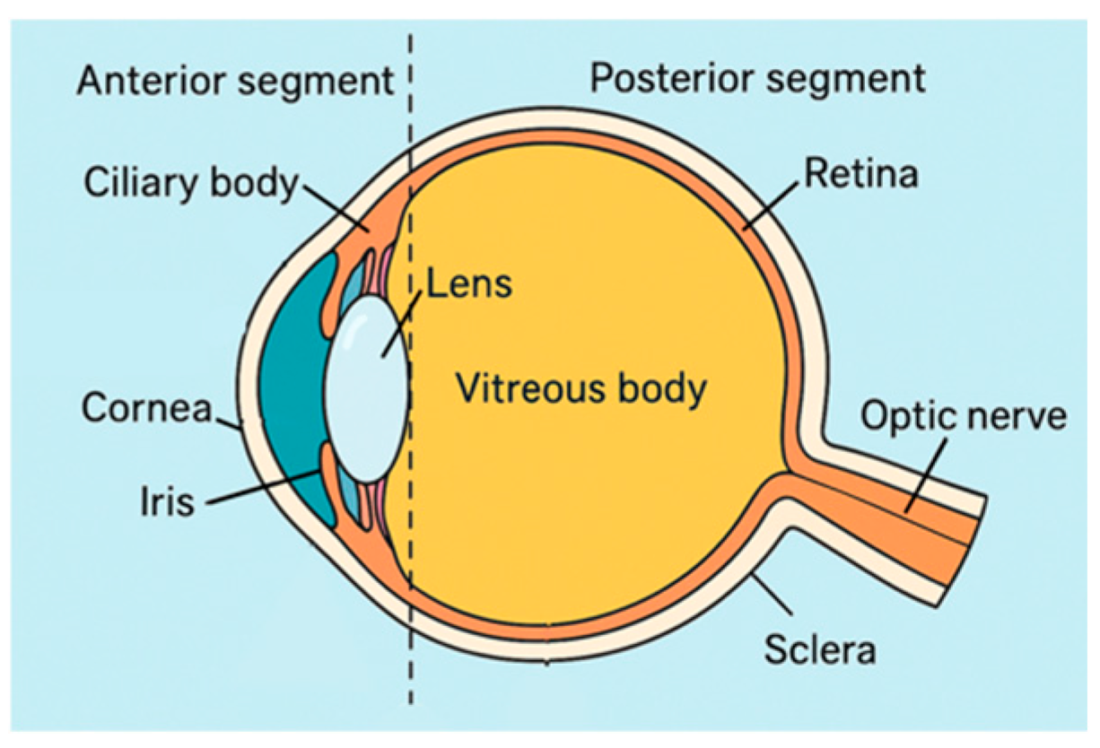 Molecules 30 02542 g001