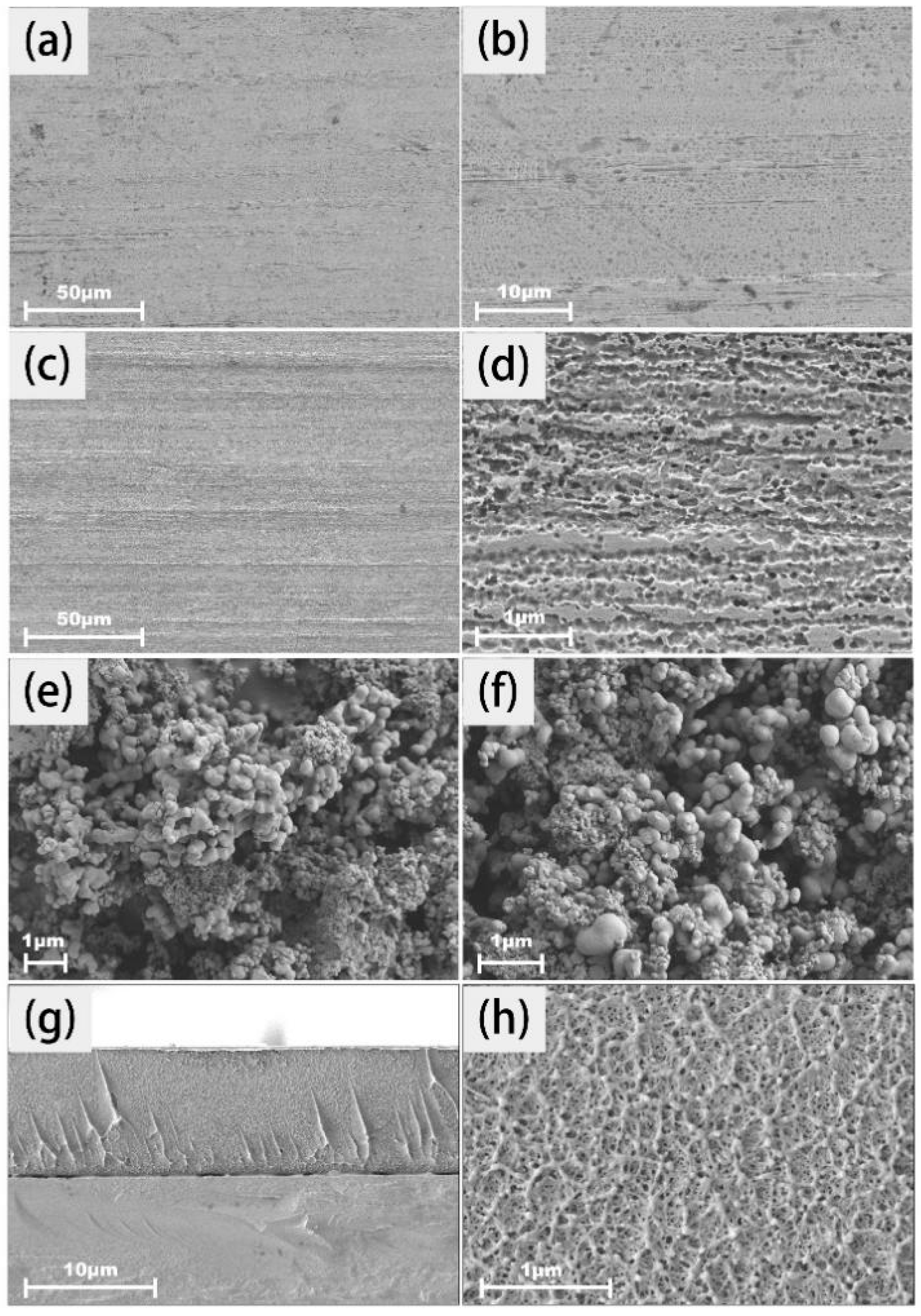 Molecules 30 02543 g002