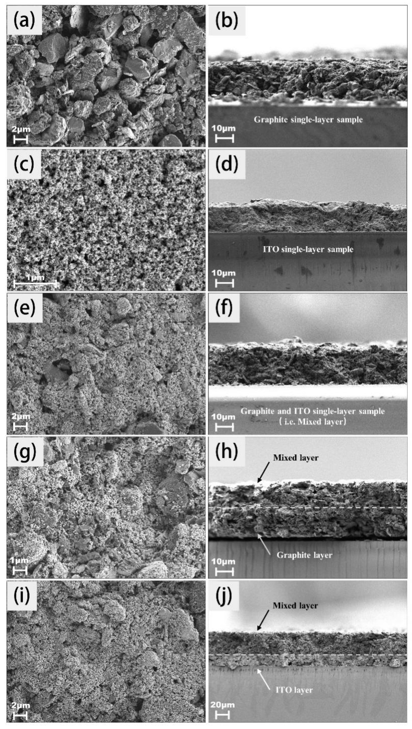 Molecules 30 02543 g003