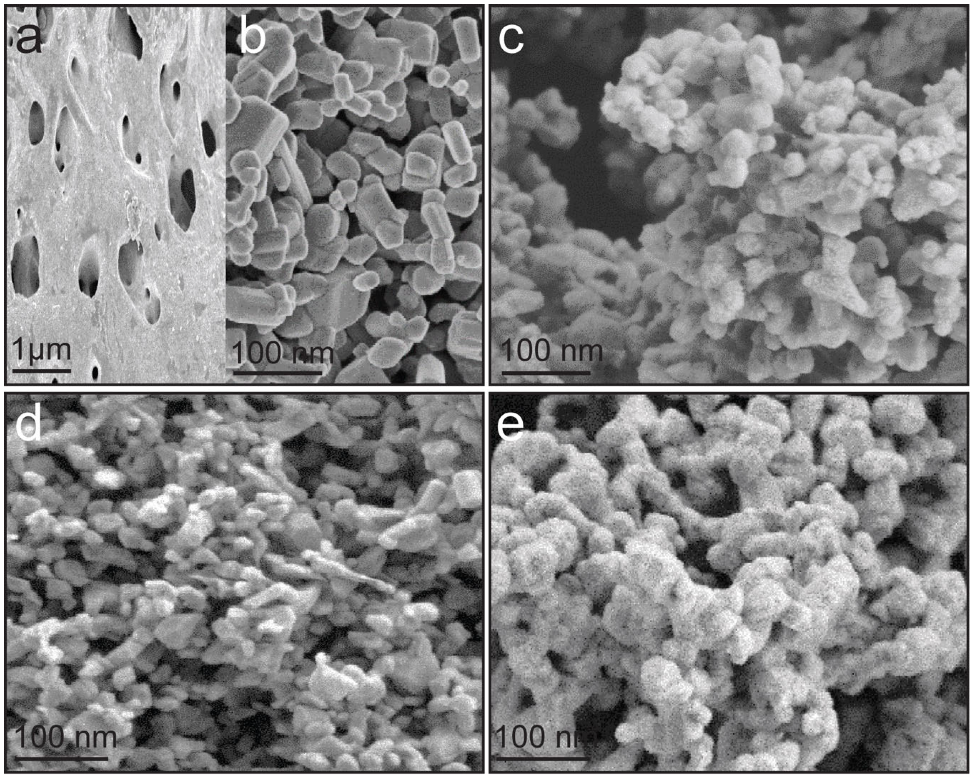 Molecules 30 02561 g001