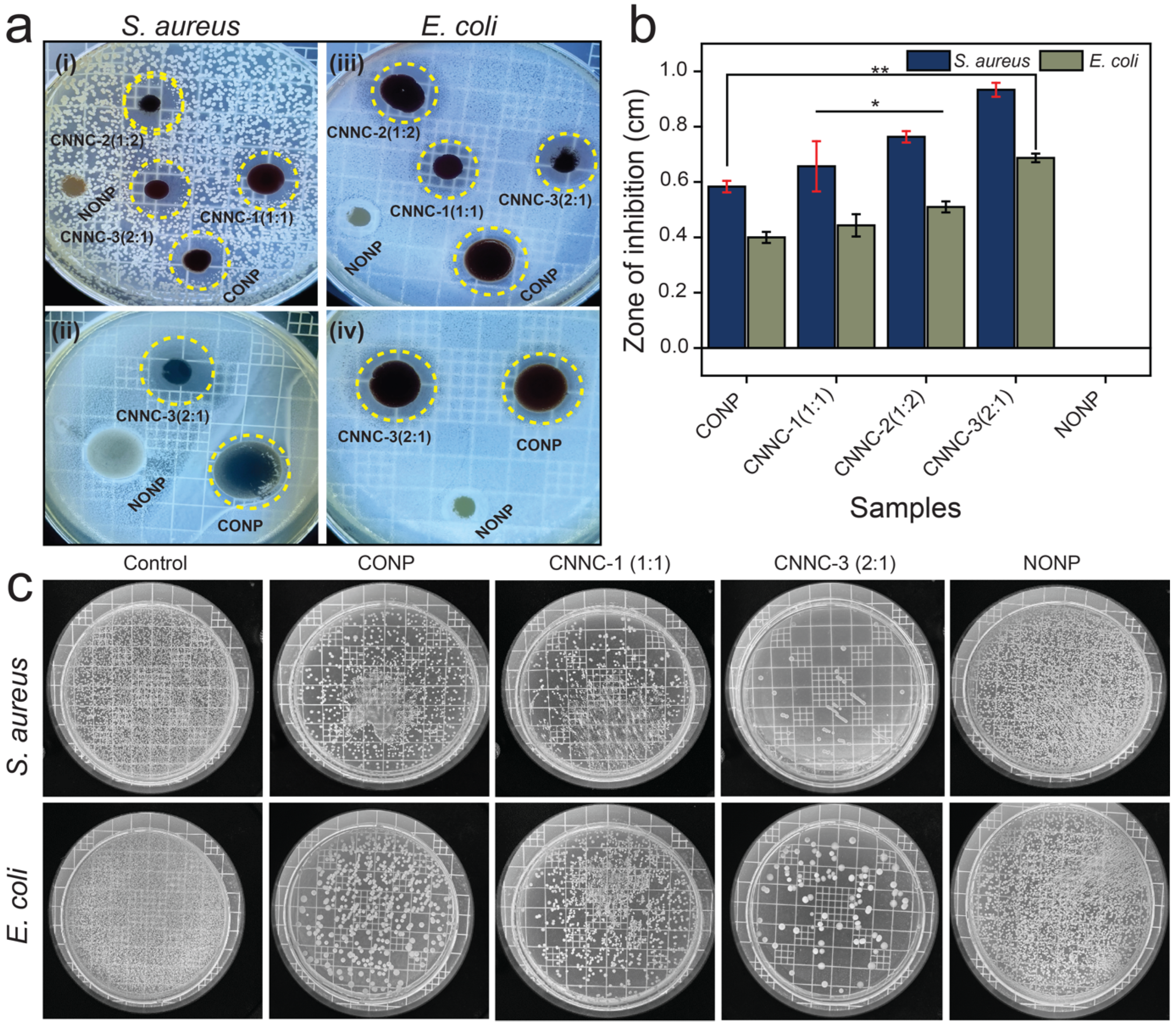 Molecules 30 02561 g009