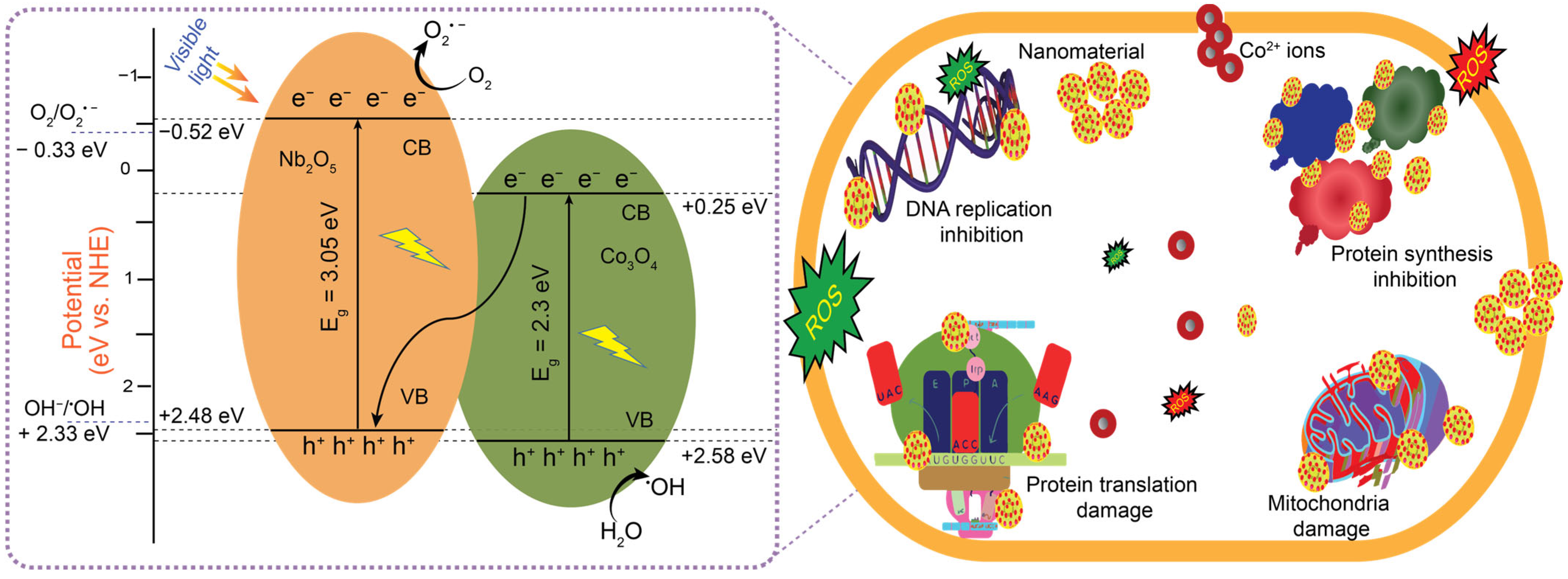 Molecules 30 02561 g010
