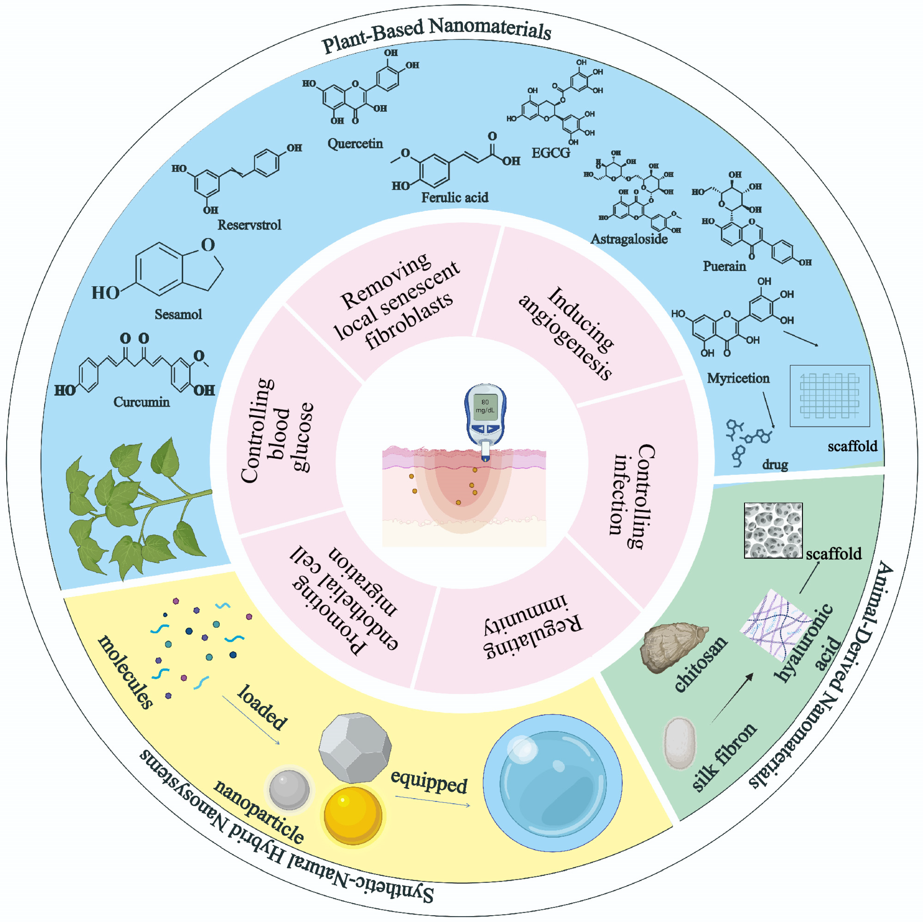 Molecules 30 02562 g001