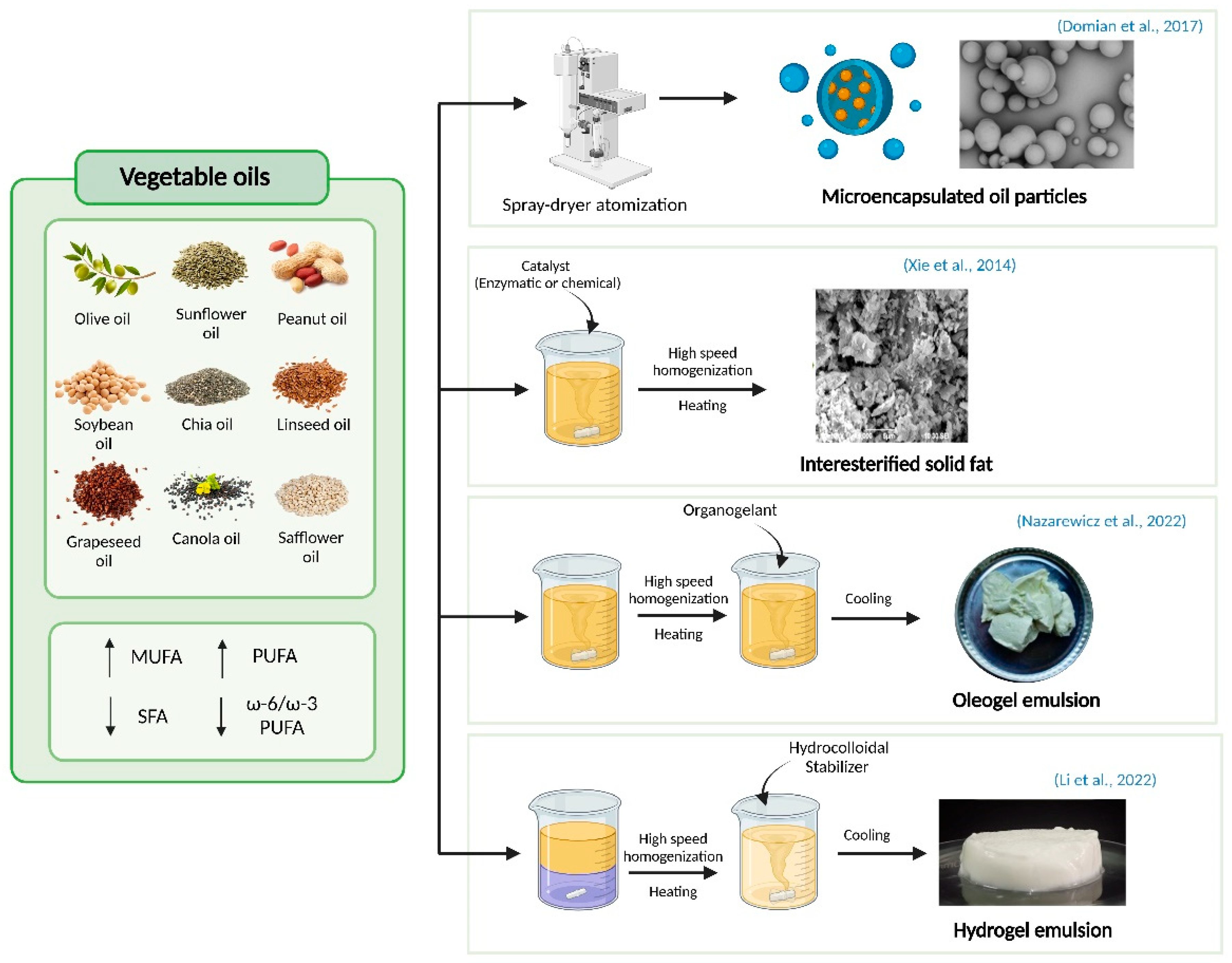 Molecules 30 02565 g001