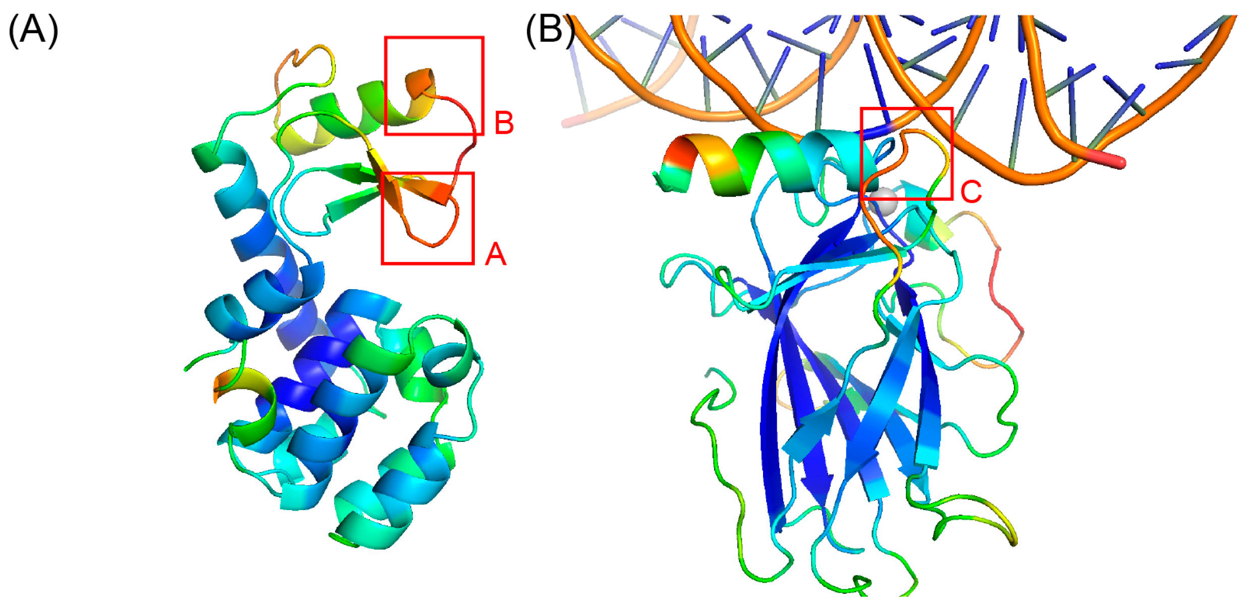 OPUS-BFactor: Predicting Protein B-Factor with Sequence and