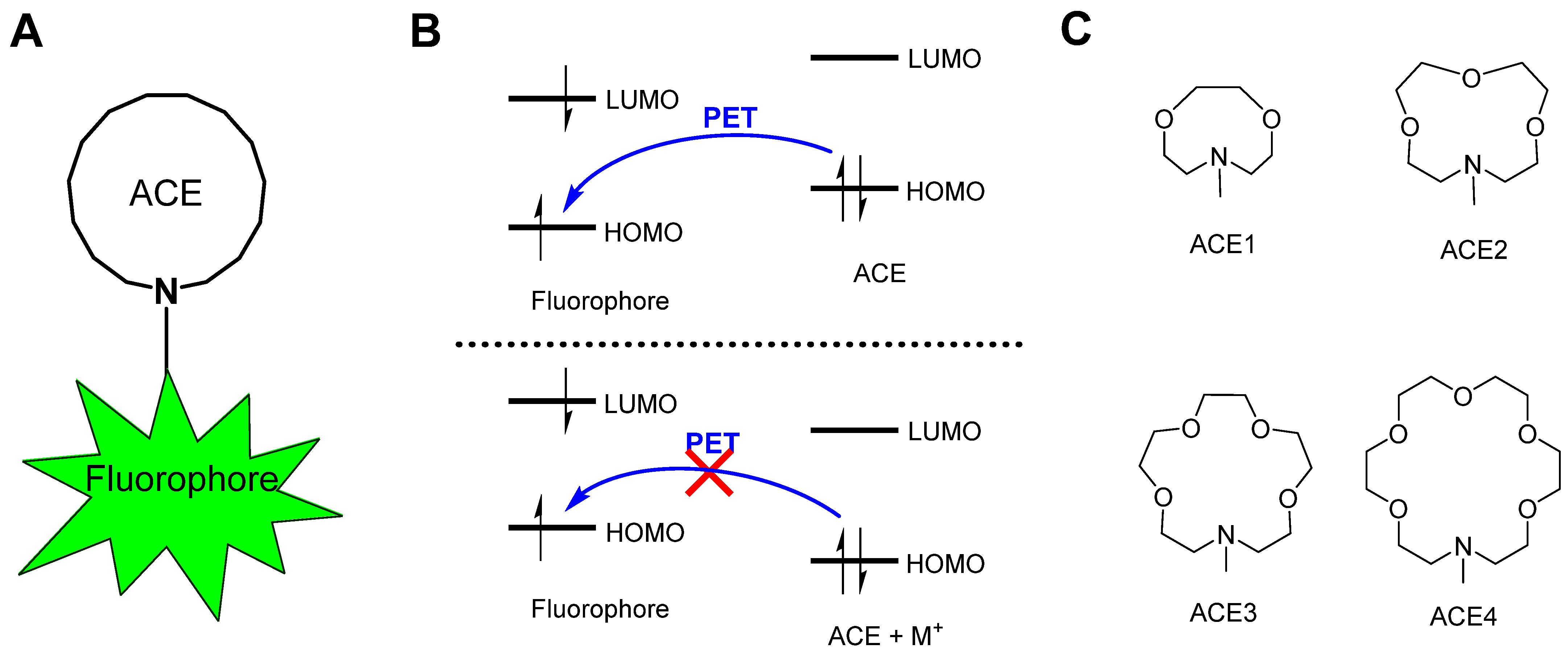 Molecules 30 02571 g001