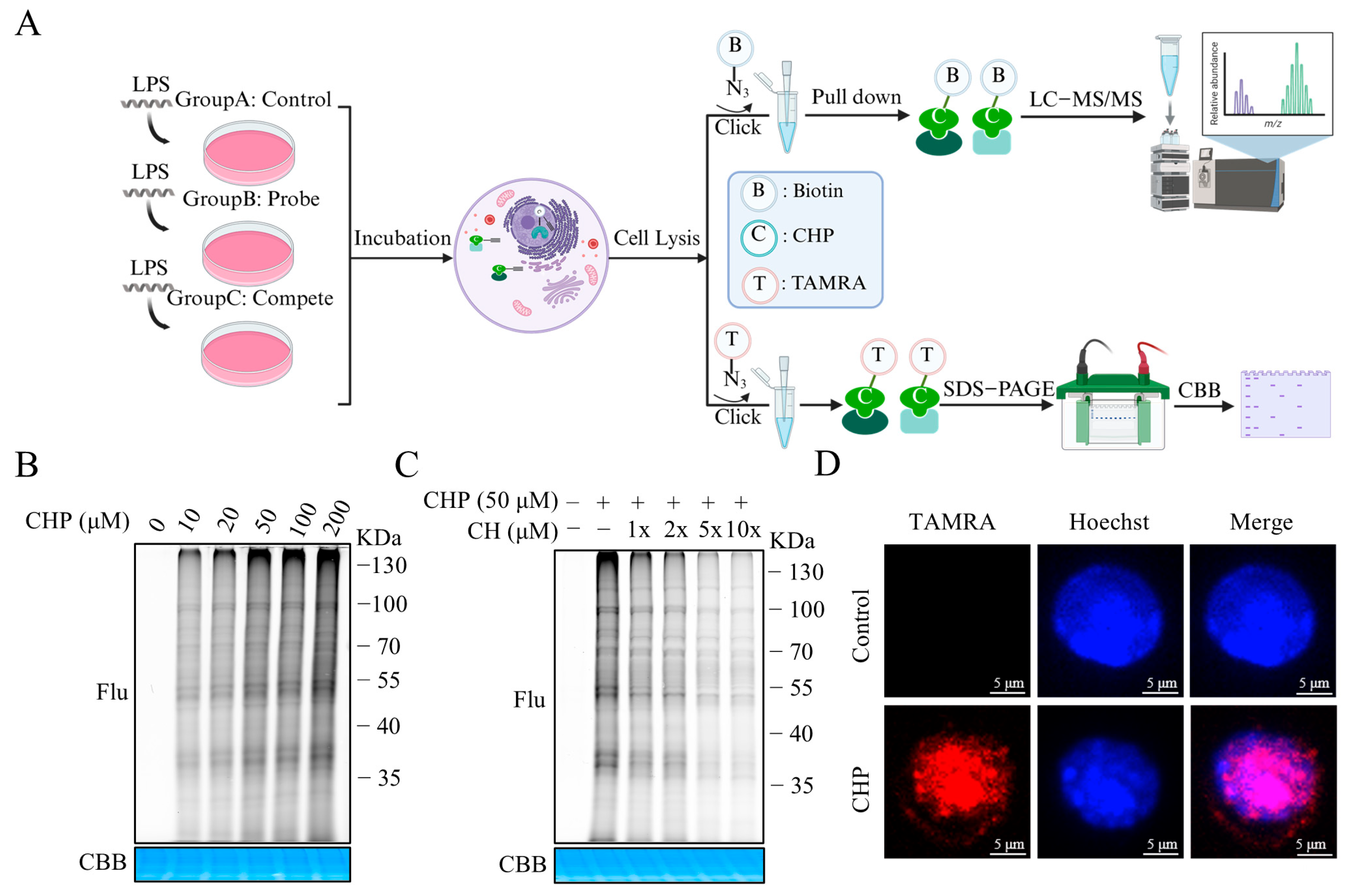 Molecules 30 02572 g005