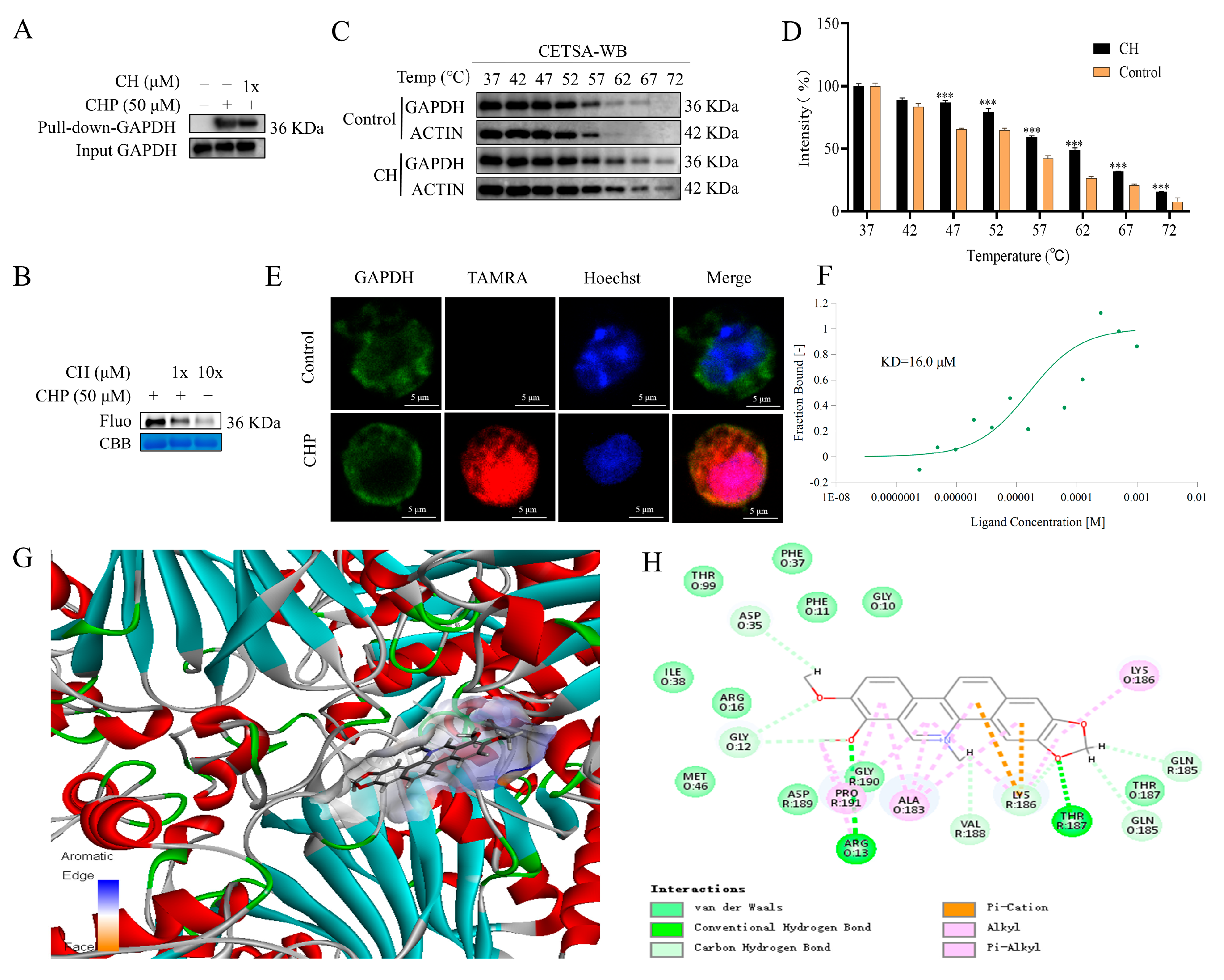 Molecules 30 02572 g006