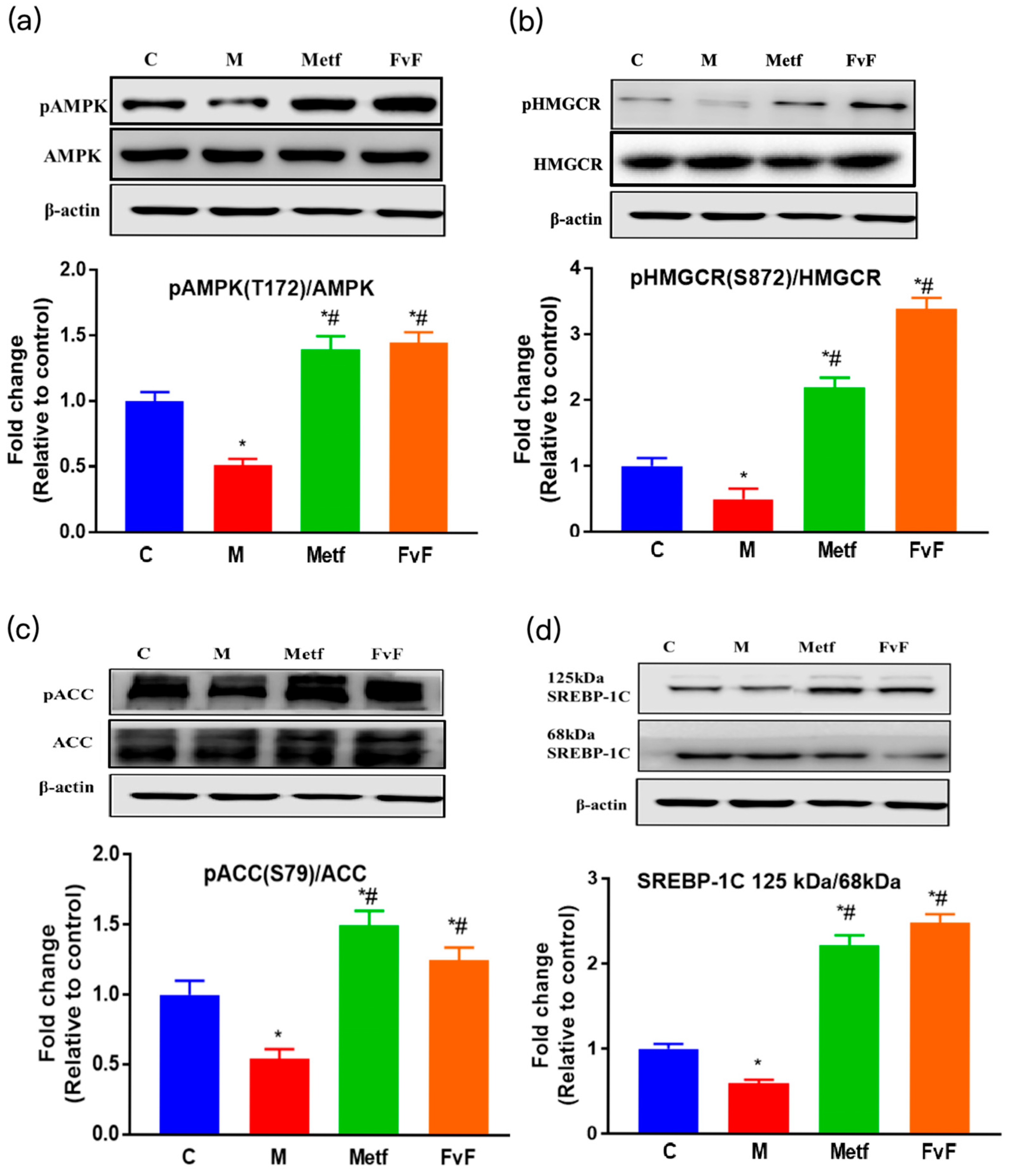 Molecules 30 02574 g002