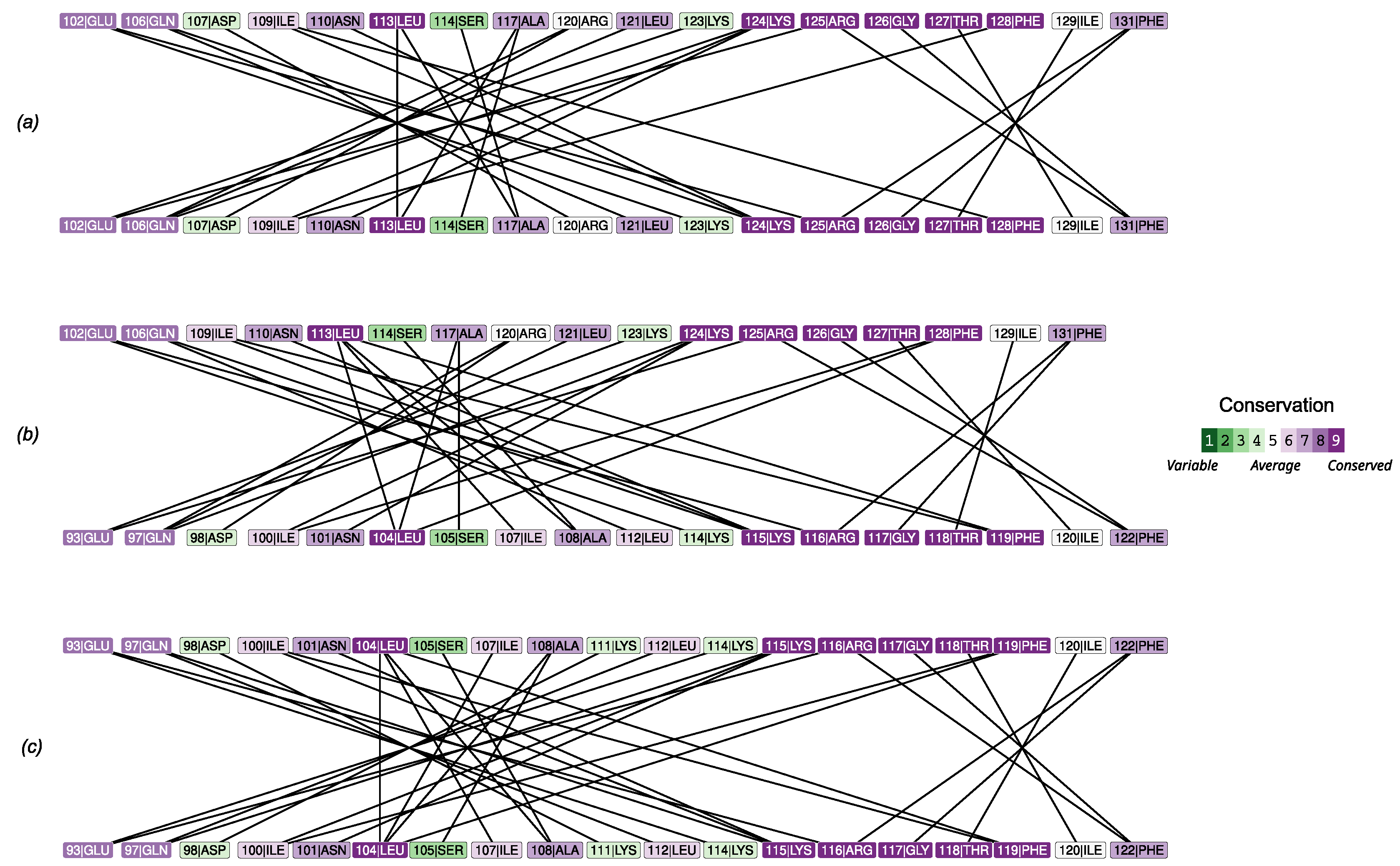 Molecules 30 02599 g005