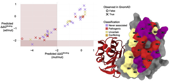 In Silico Analysis of Phosphomannomutase-2 Dimer Interface 