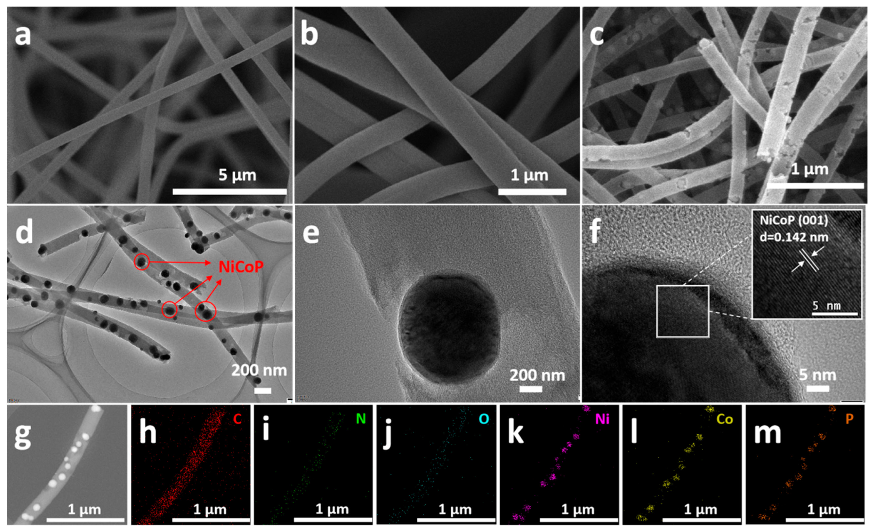 Molecules 30 02603 g001 Molecules 30 02603 g001