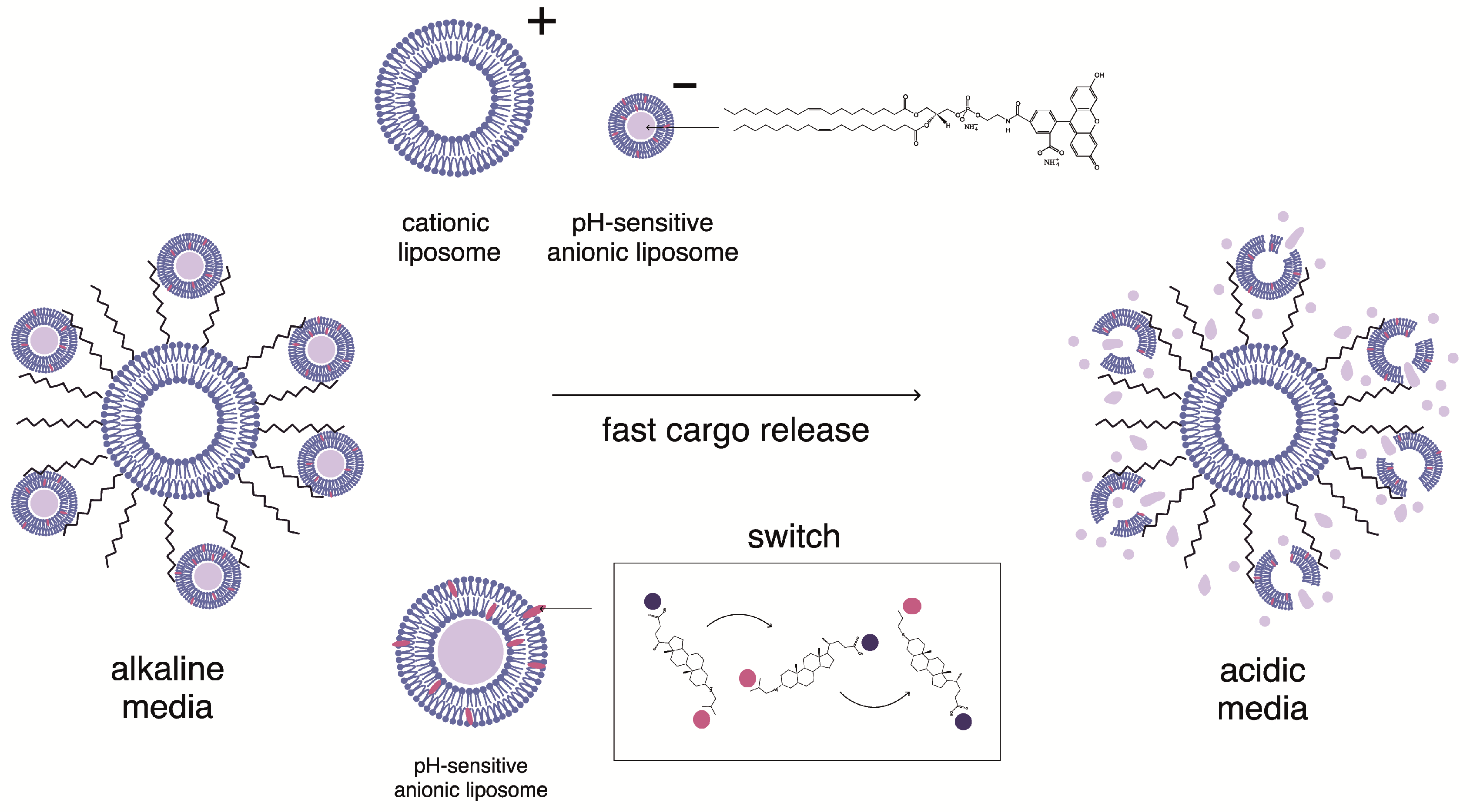 Molecules 30 02608 g006