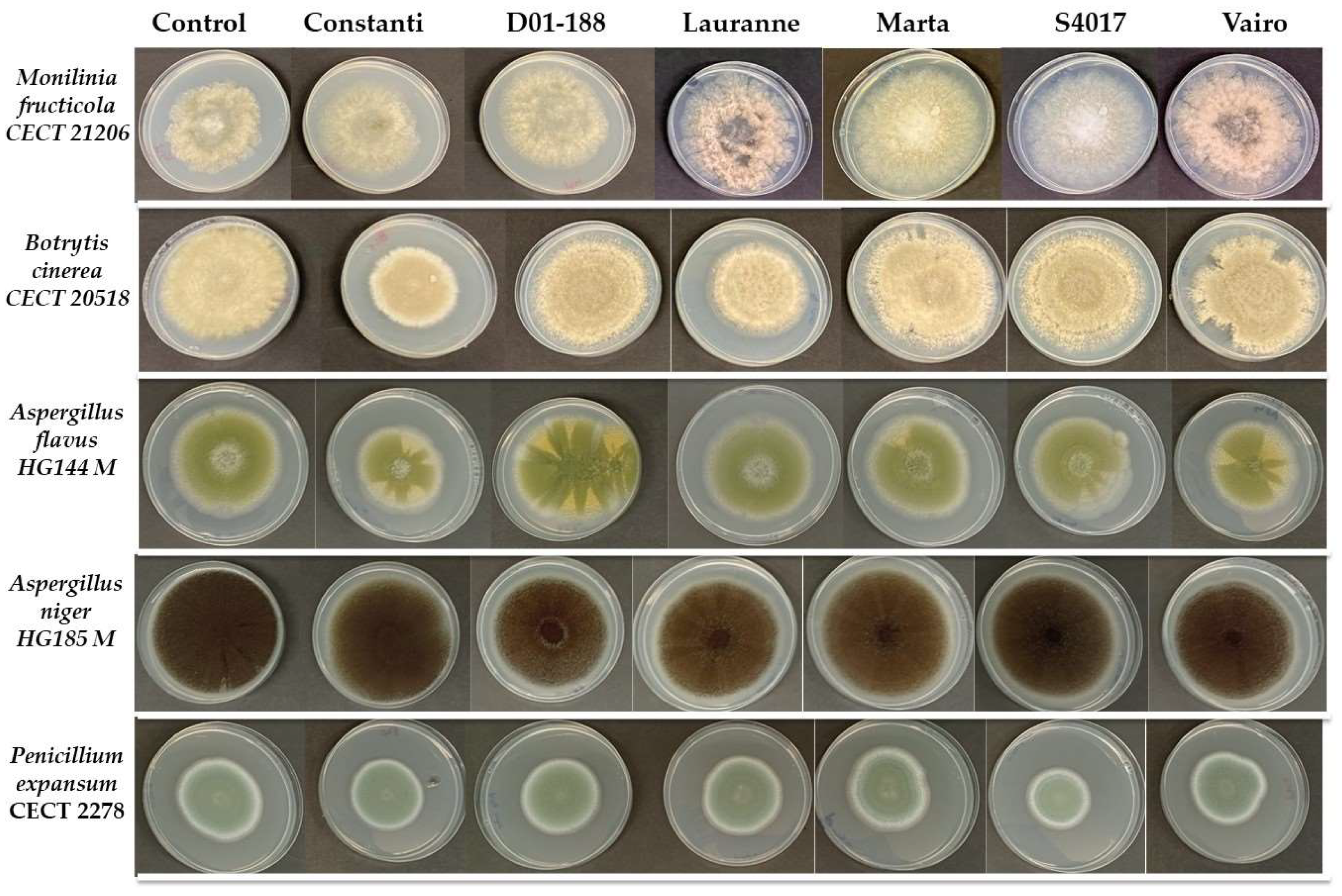 Molecules 30 02614 g001