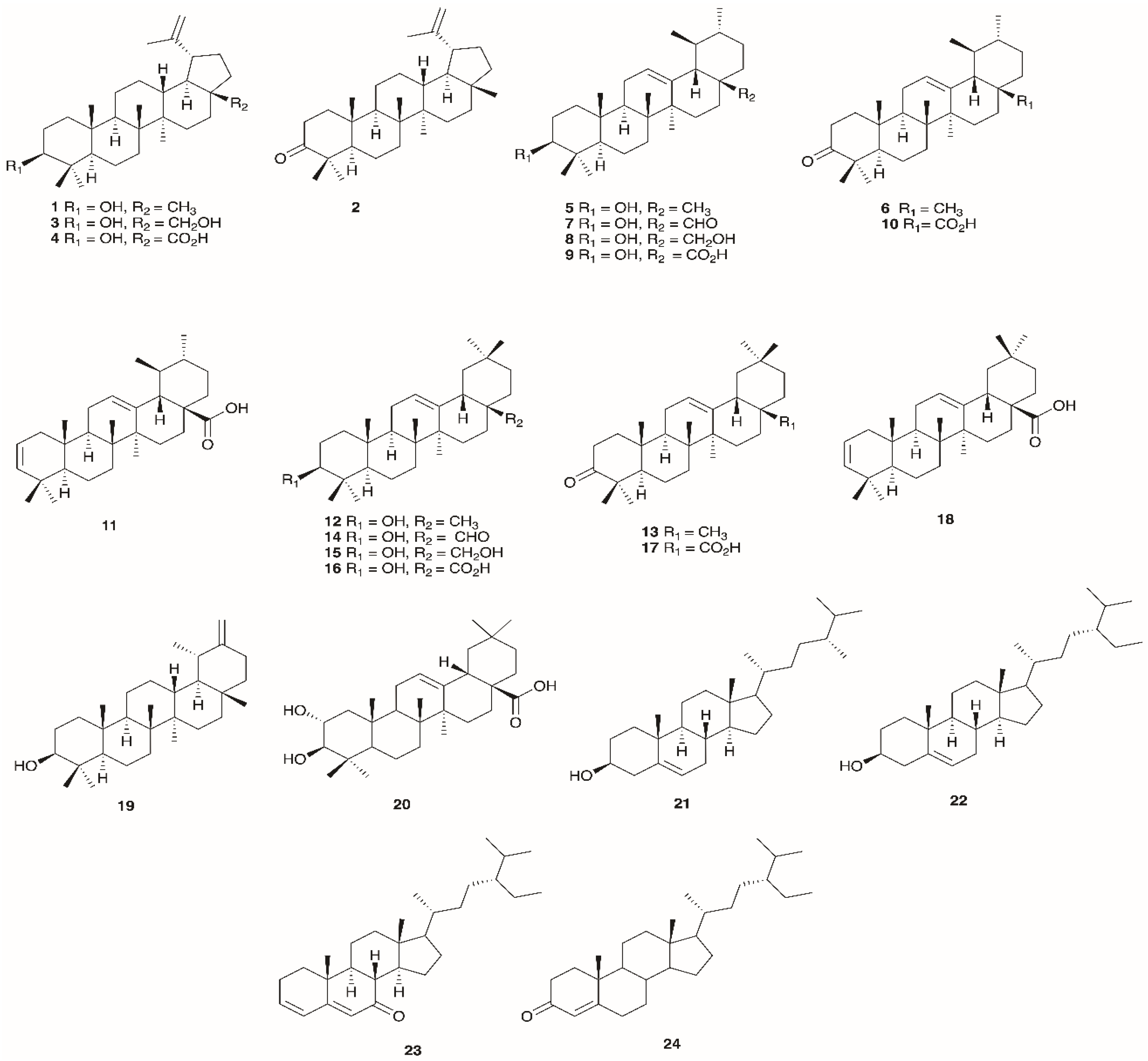 Molecules 30 02616 g003 Molecules 30 02616 g003