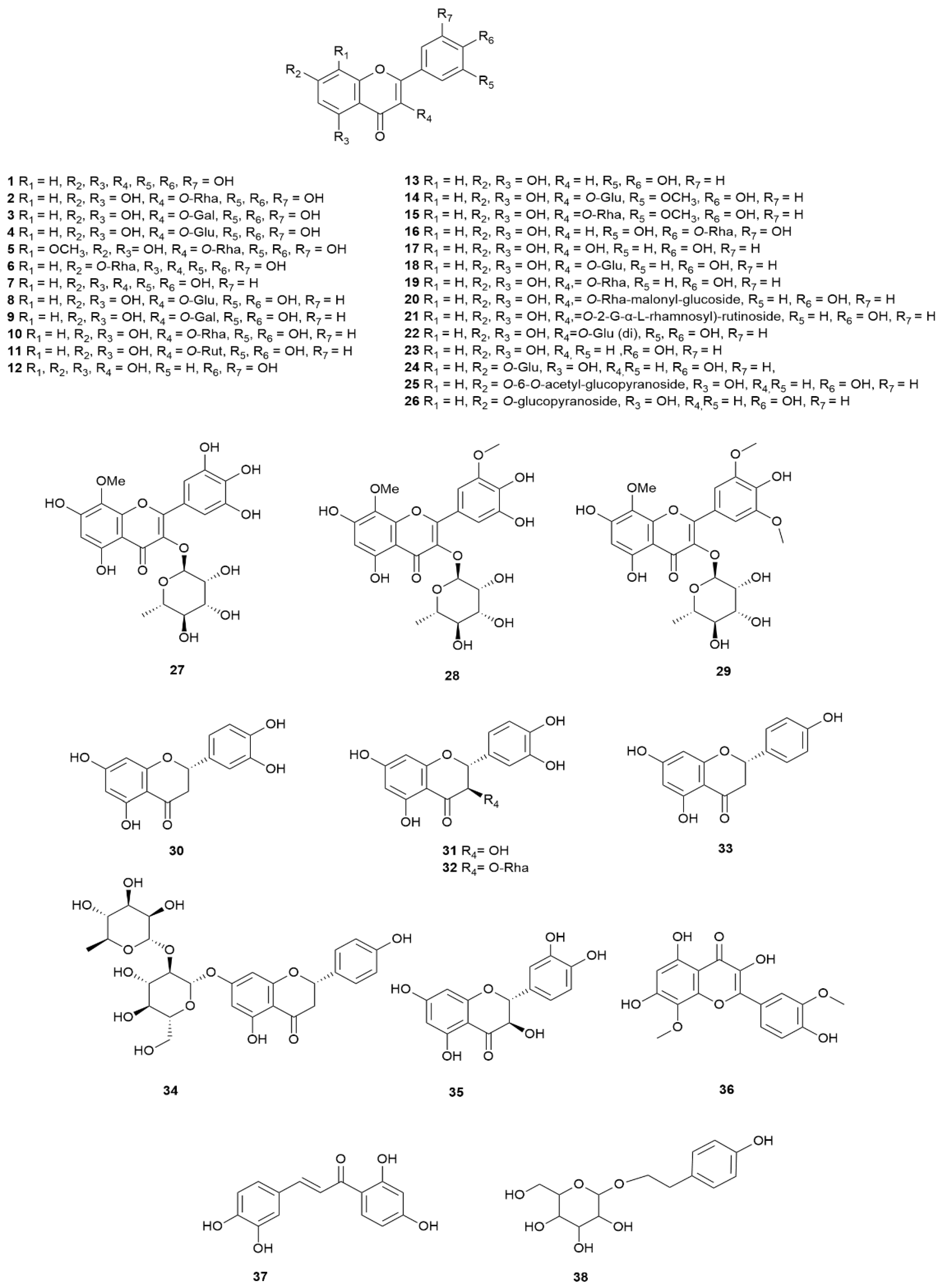 Molecules 30 02616 g006 Molecules 30 02616 g006
