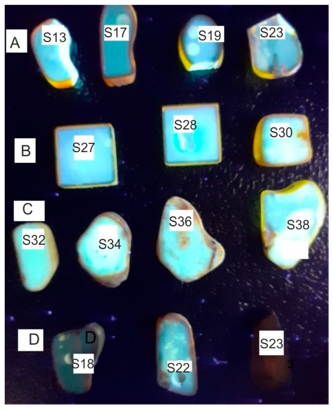 Molecules 30 02617 g004