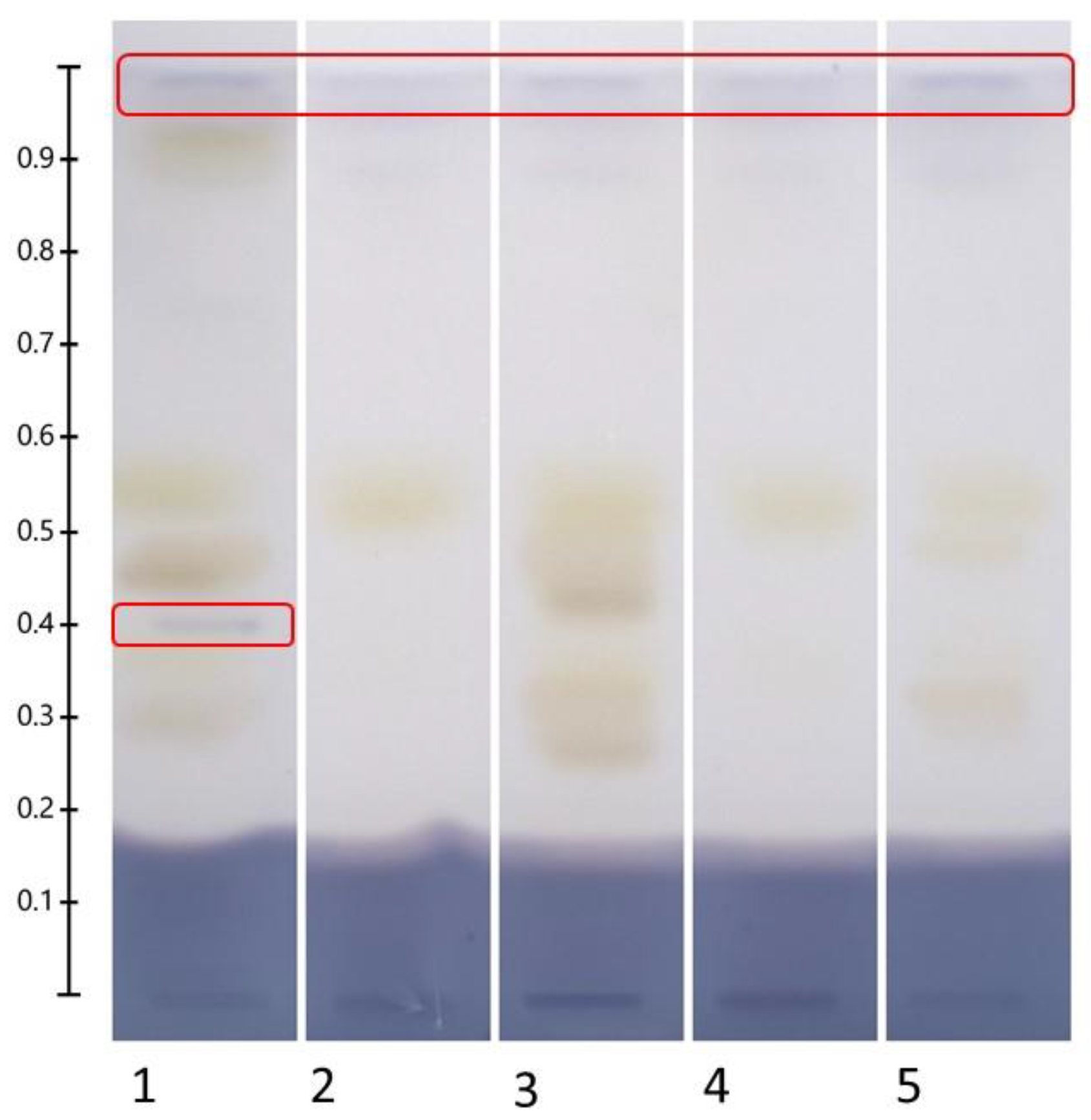 Molecules 30 02620 g009
