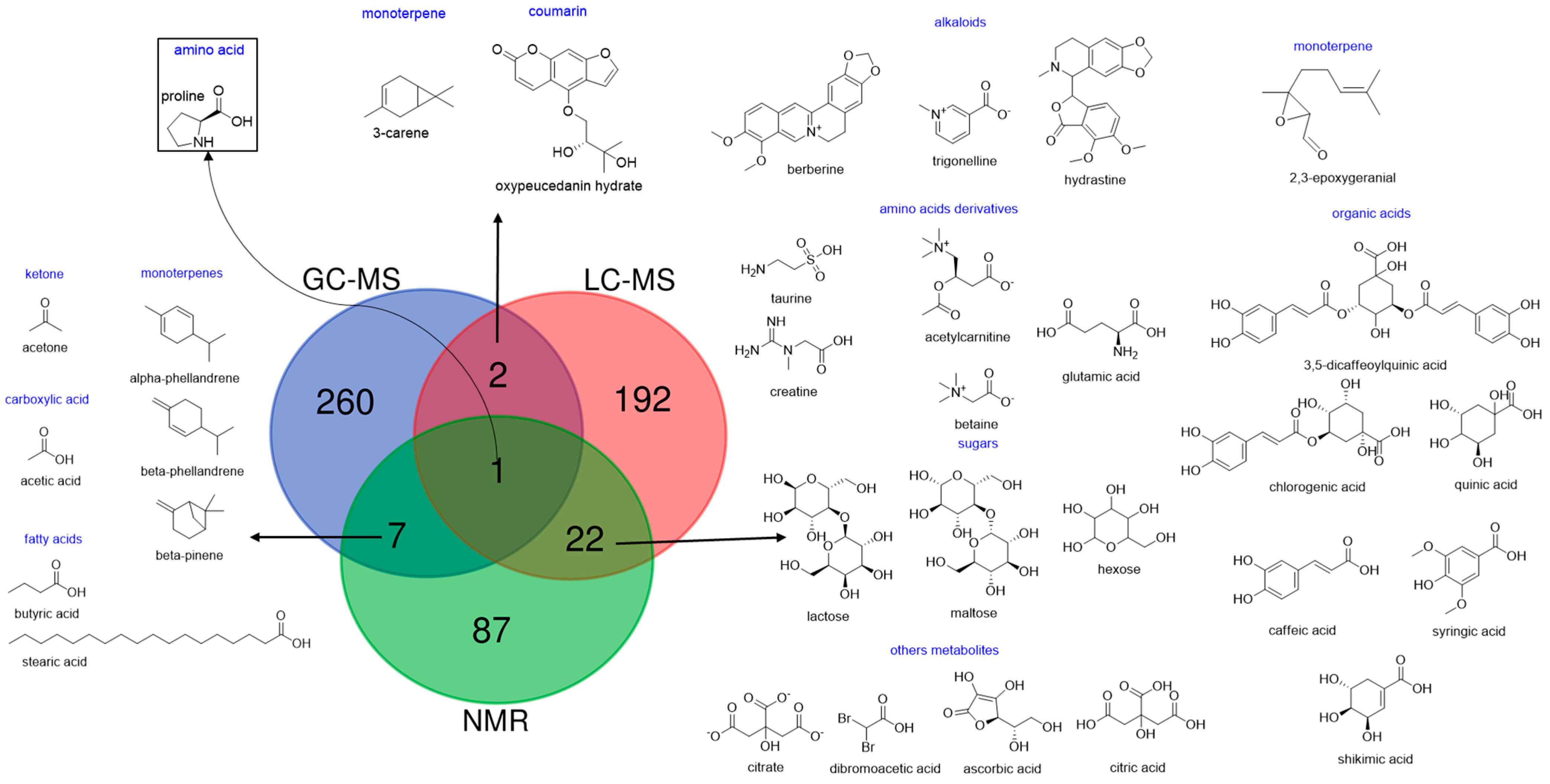 Molecules 30 02624 g005