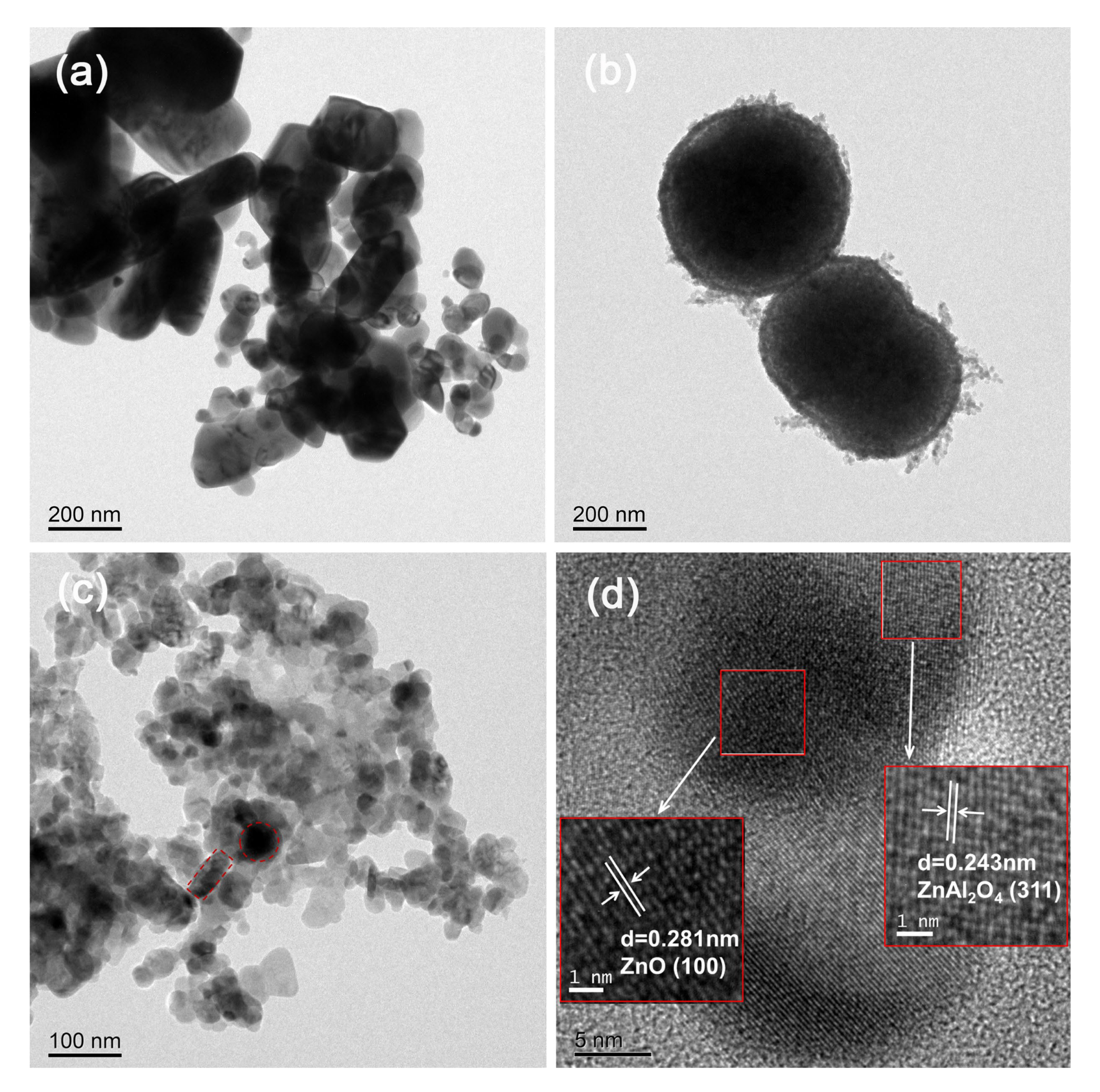 Molecules 30 02626 g002