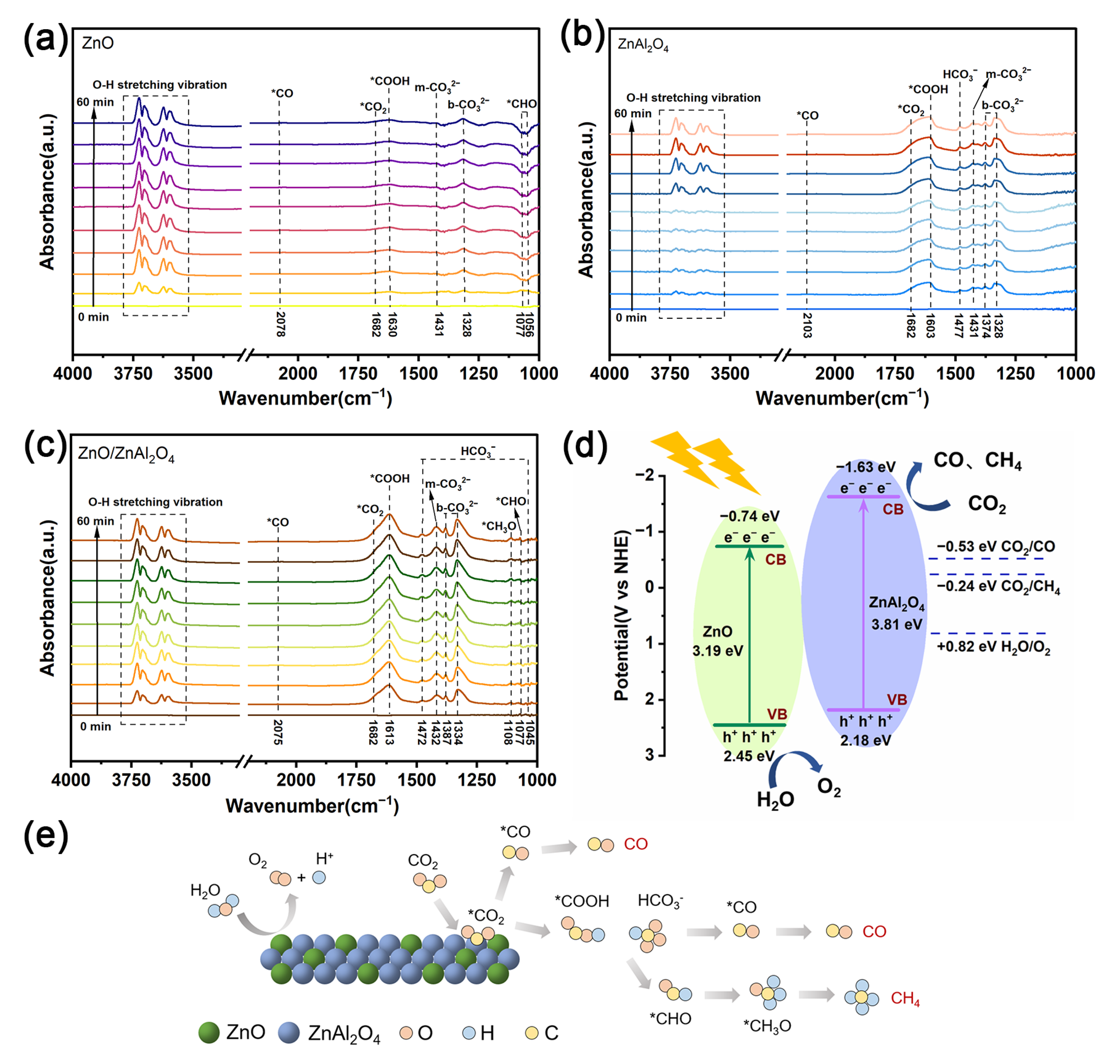 Molecules 30 02626 g006