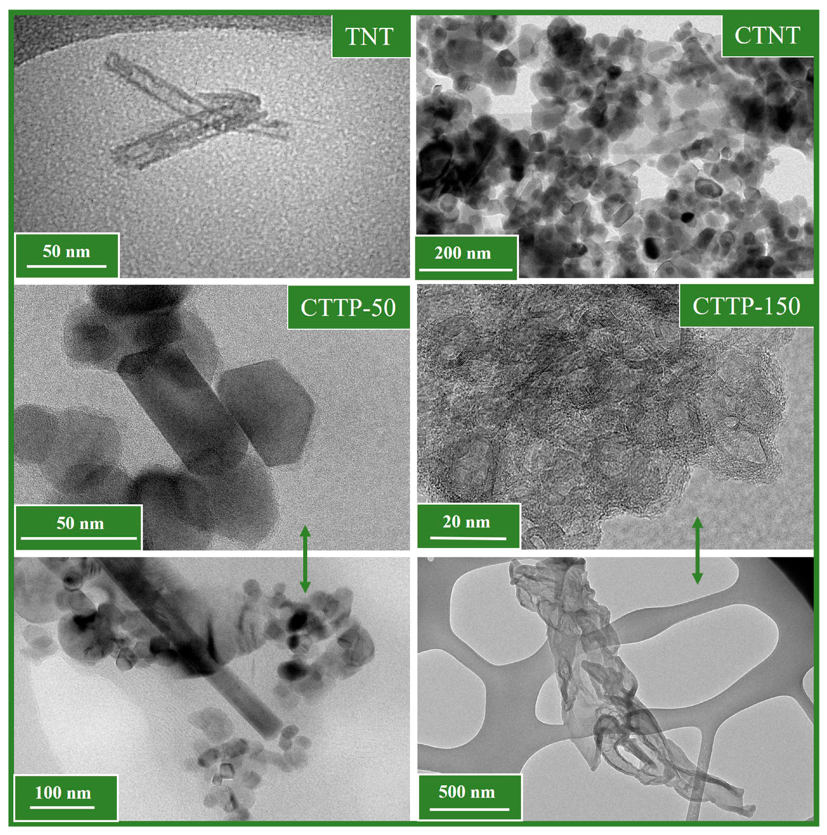 Molecules 30 02628 g001