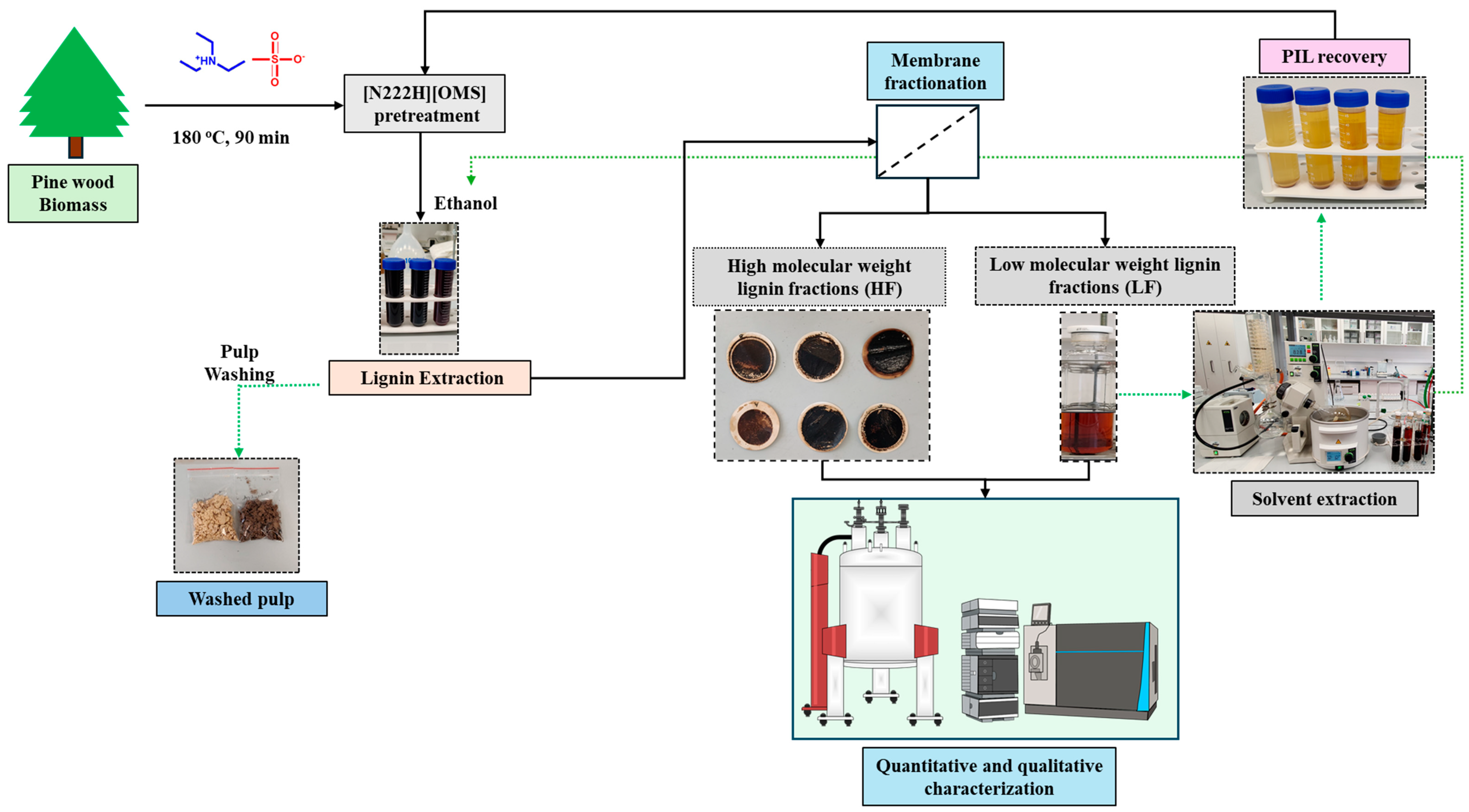 Molecules 30 02630 g007