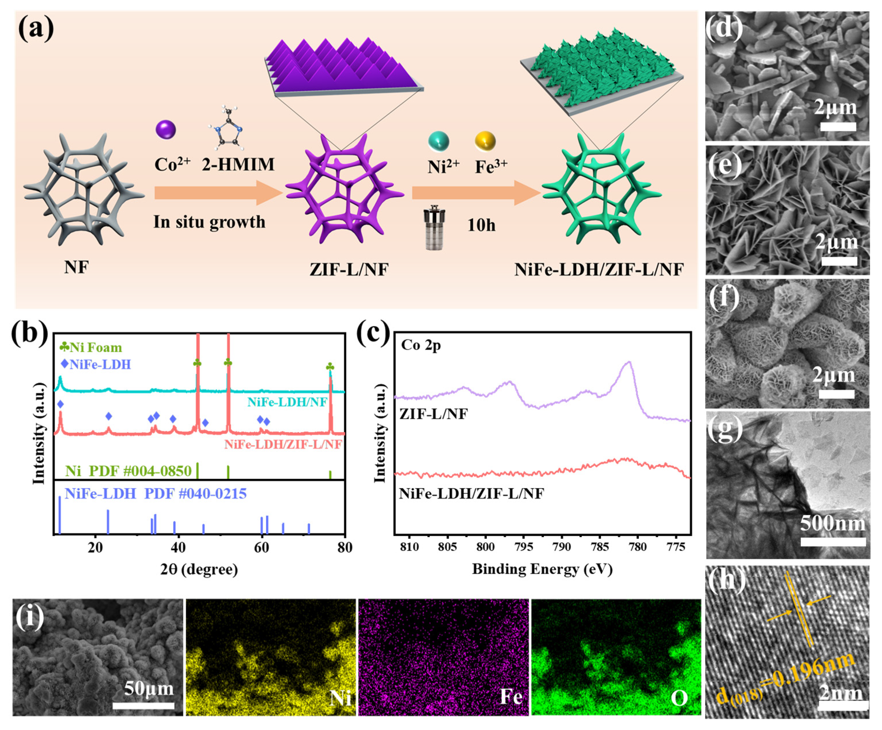 Molecules 30 02632 g001