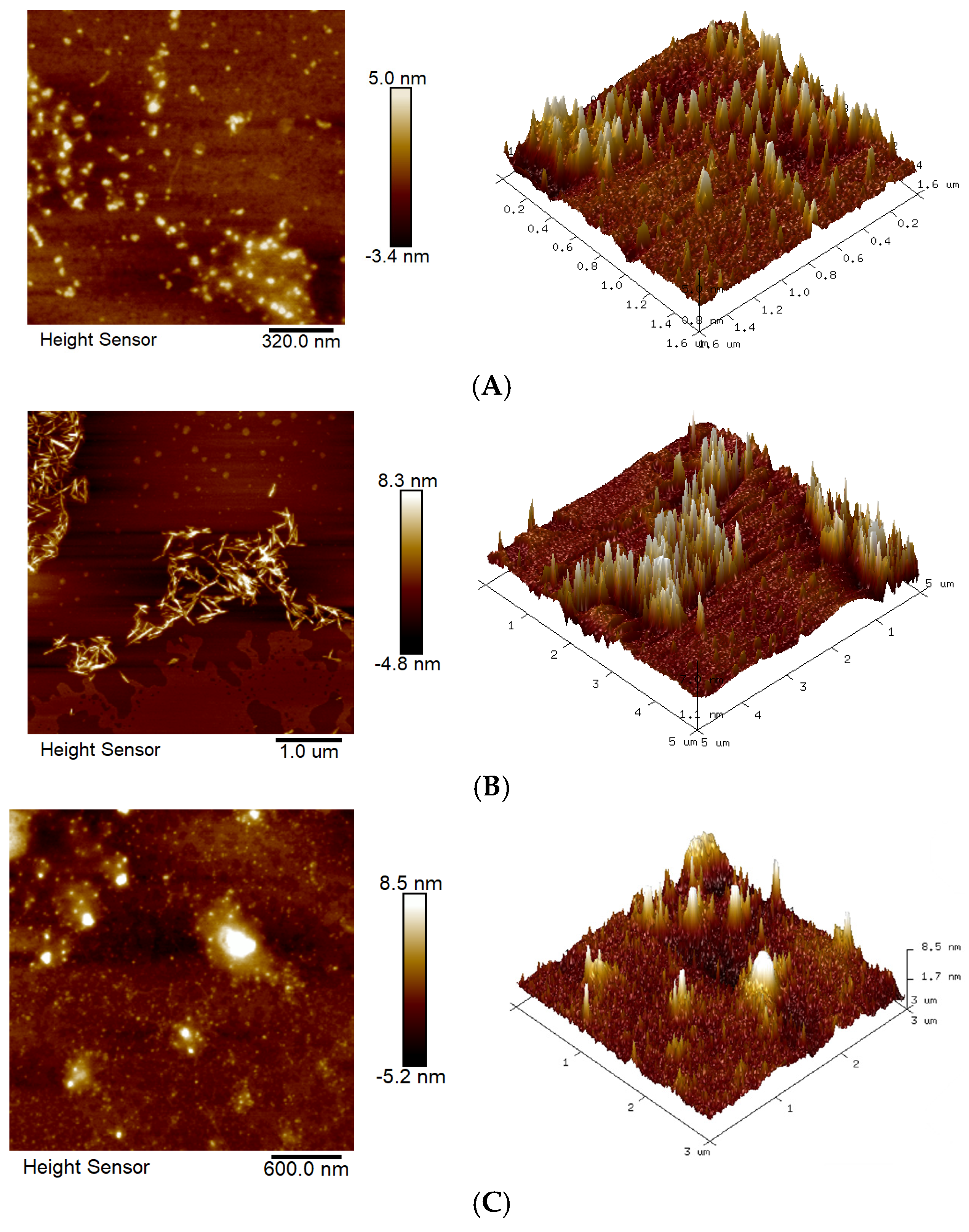 Molecules 30 02635 g004