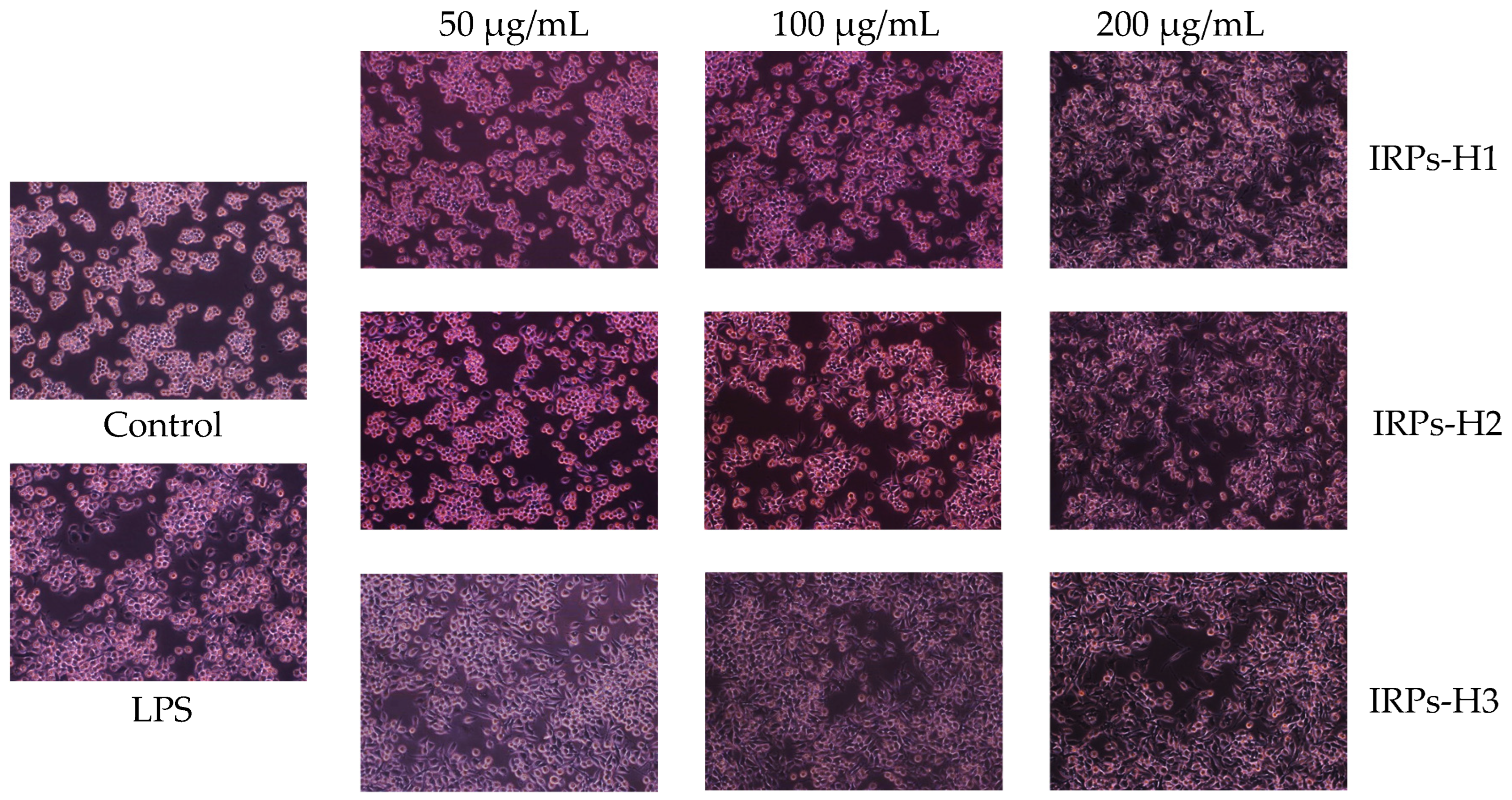 Molecules 30 02635 g010
