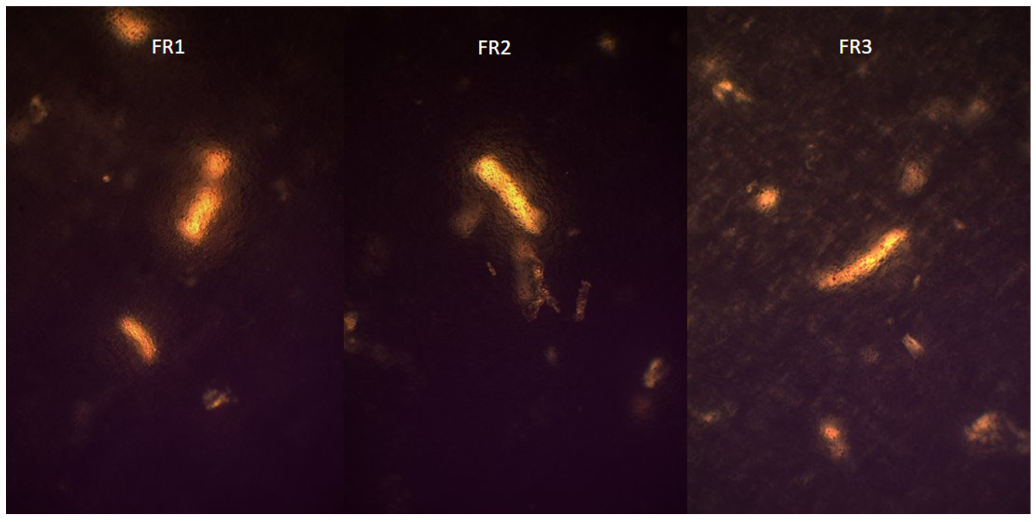 Molecules 30 02642 g004