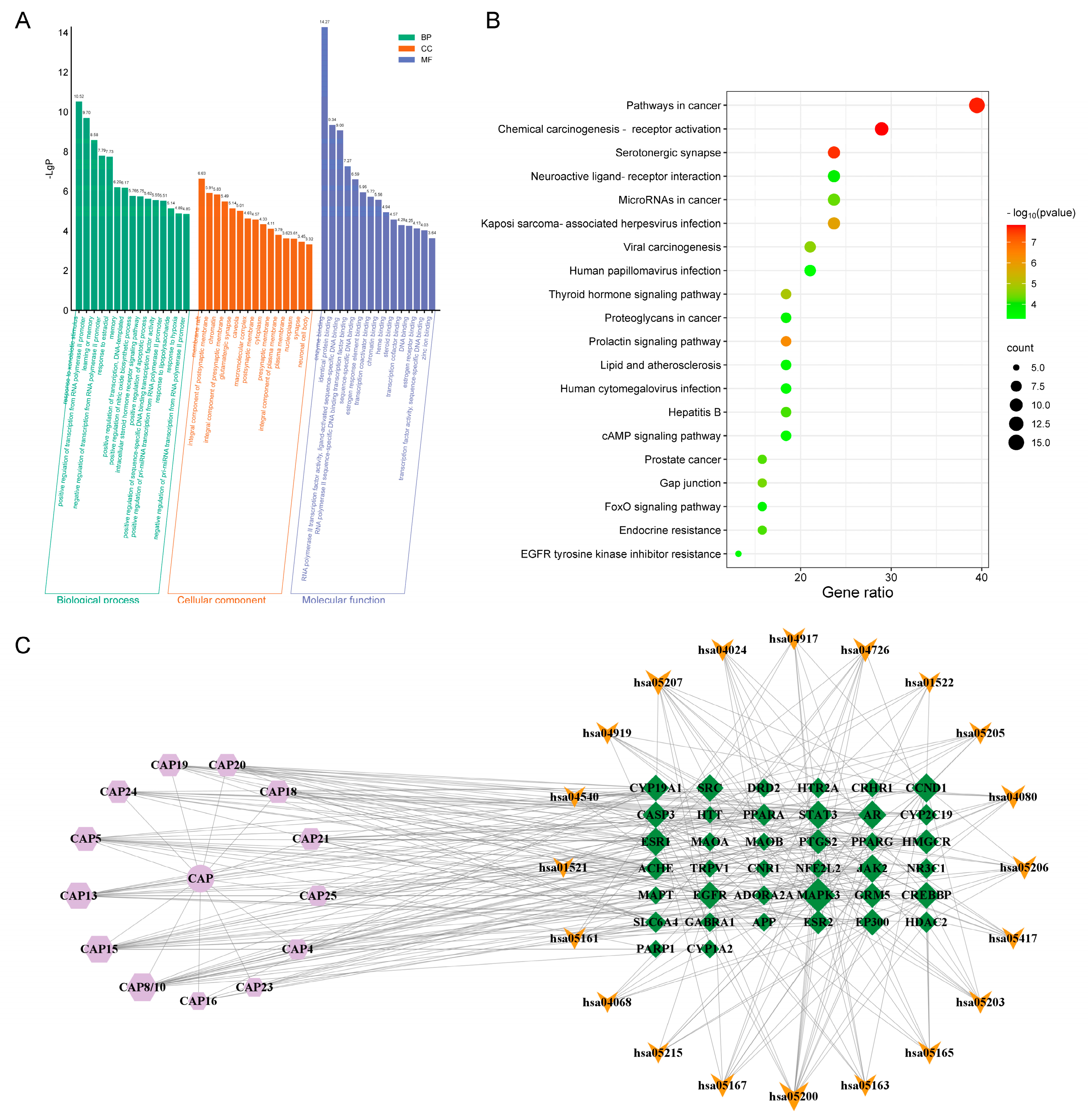Molecules 30 02652 g008