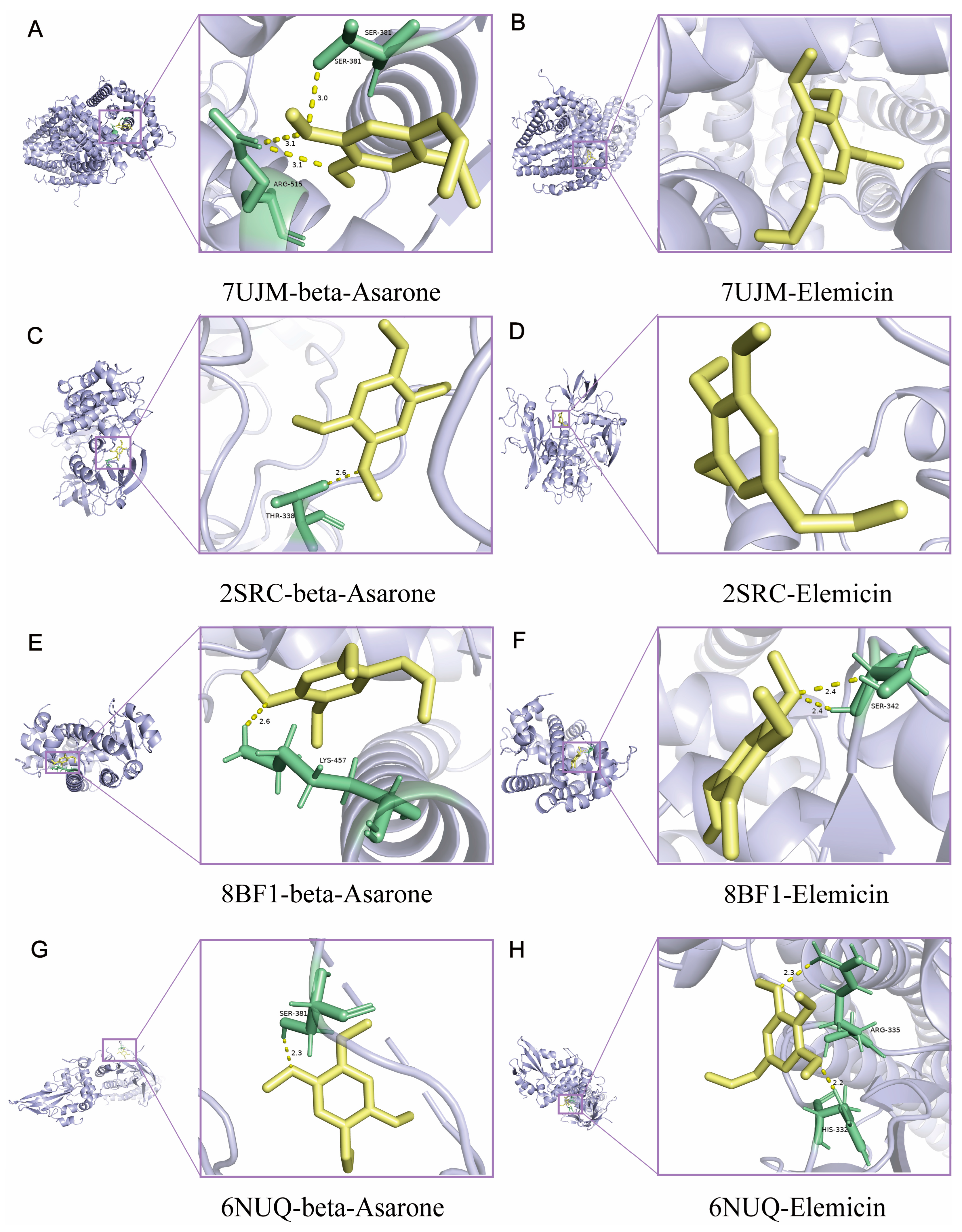 Molecules 30 02652 g009