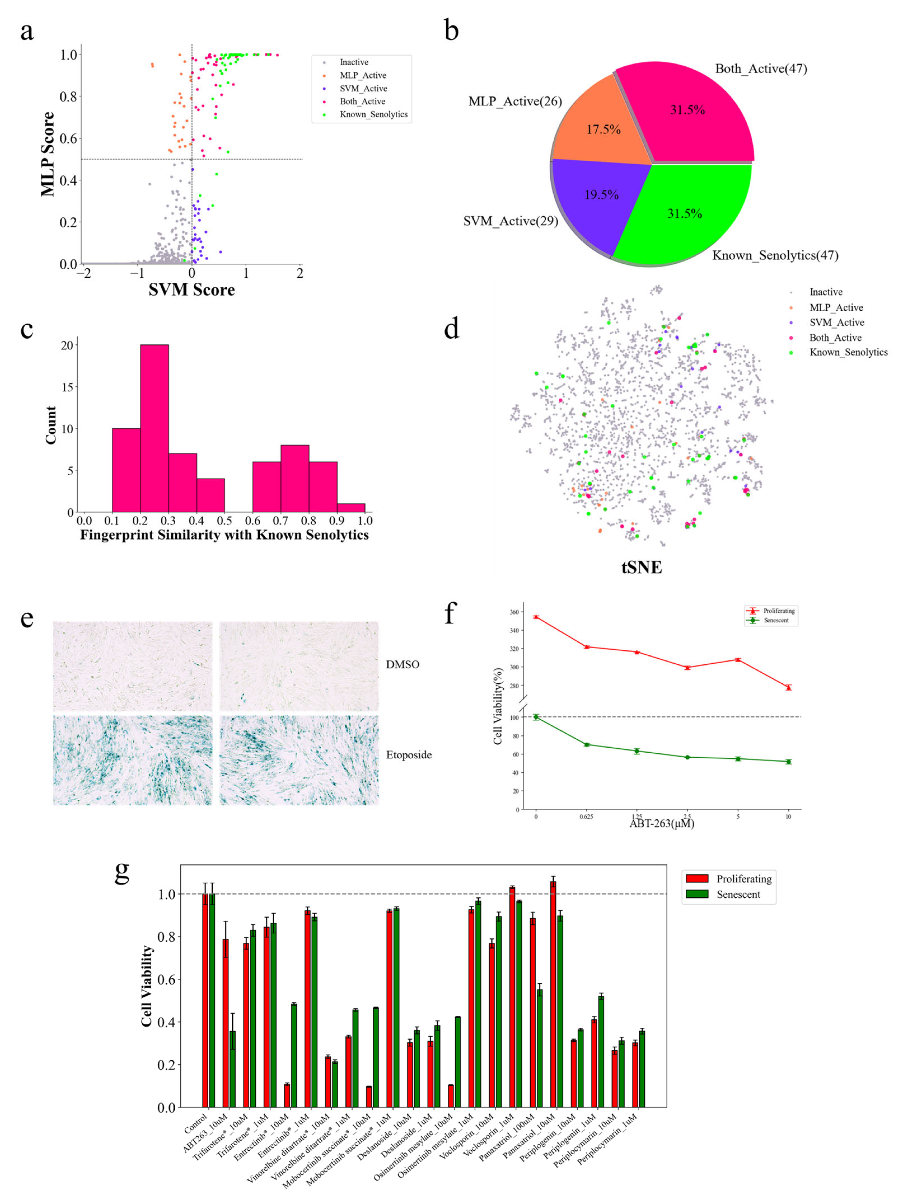 Molecules 30 02653 g006
