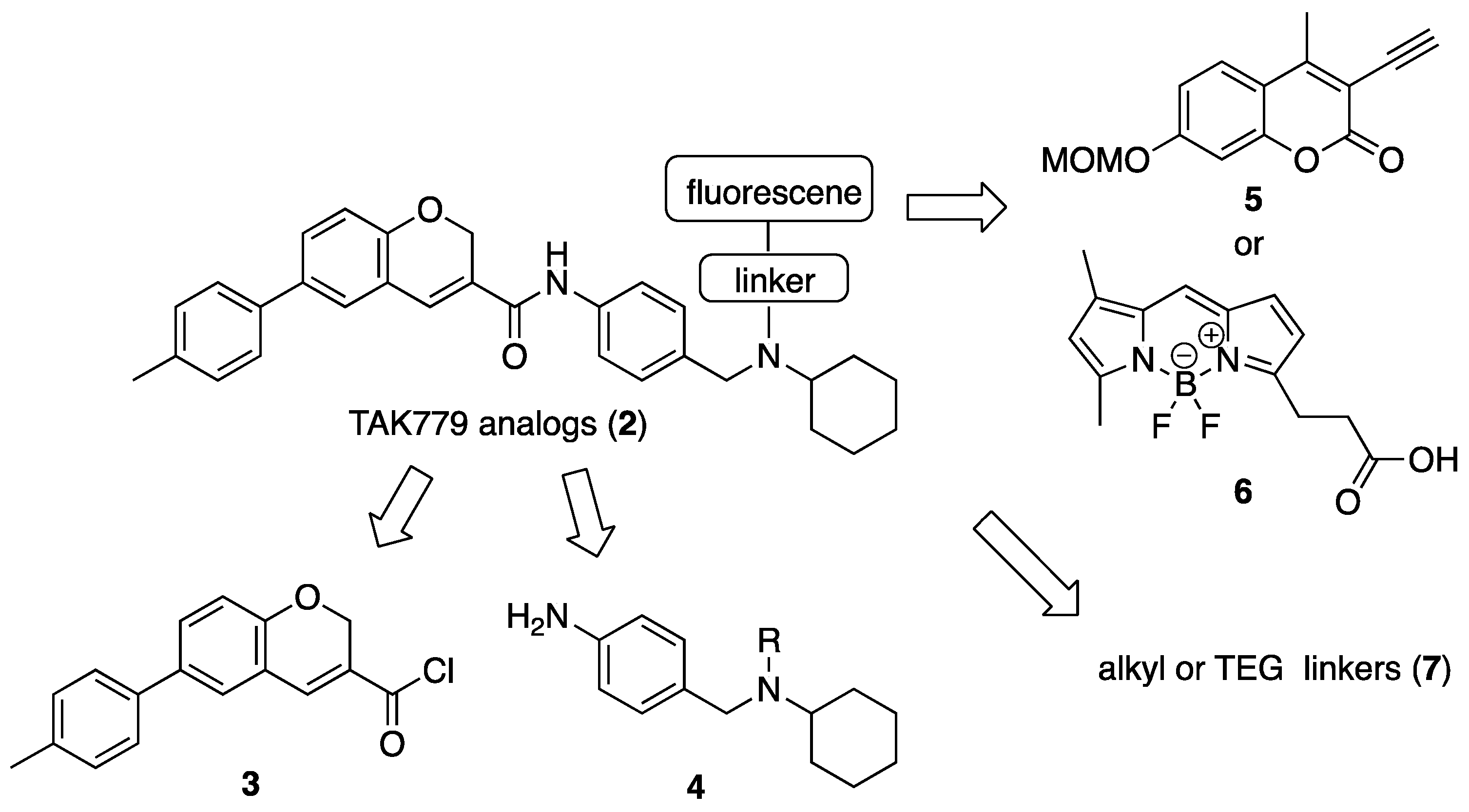 Molecules 30 02655 sch001