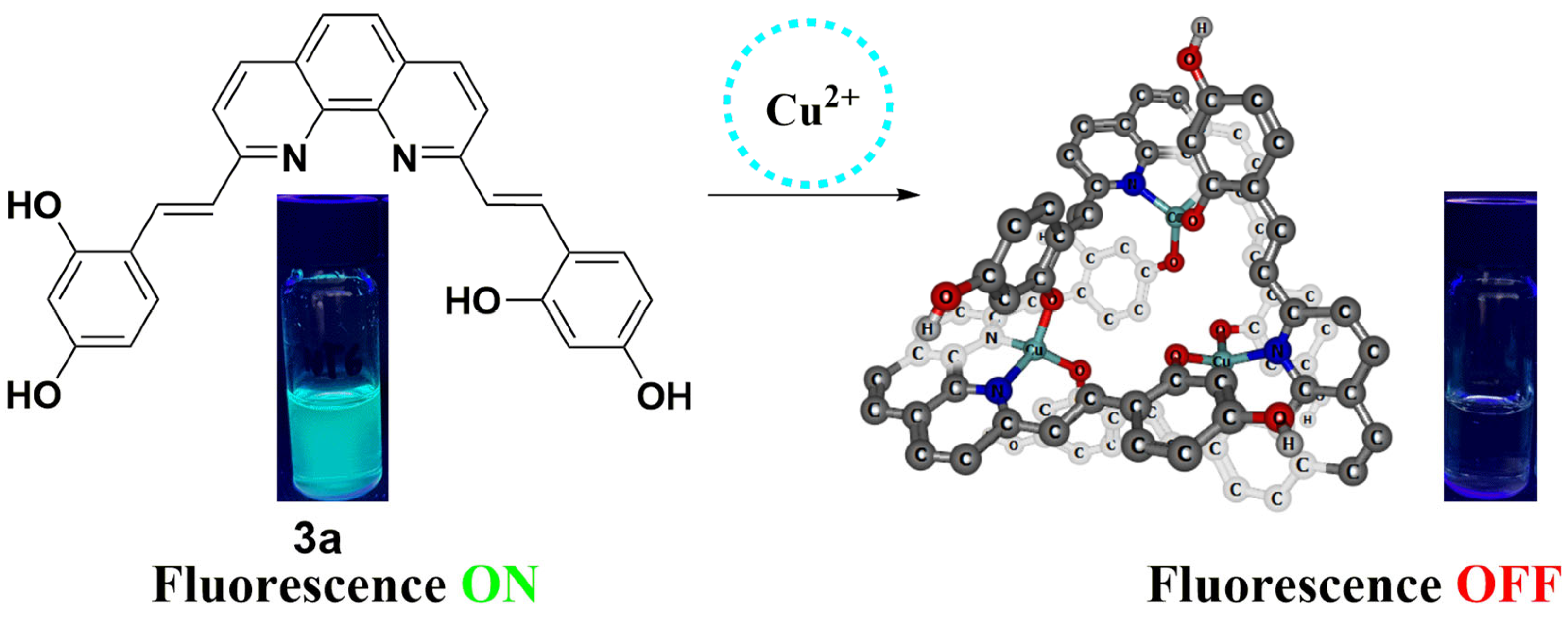 Molecules 30 02659 sch002