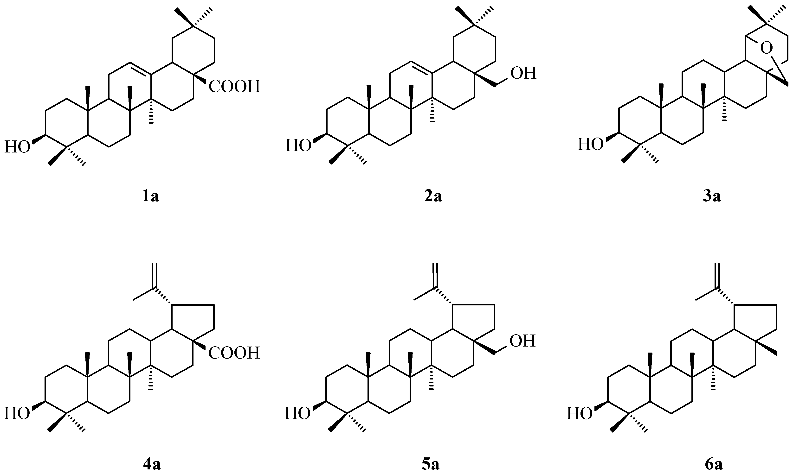 Molecules 30 02661 g001 Molecules 30 02661 g001