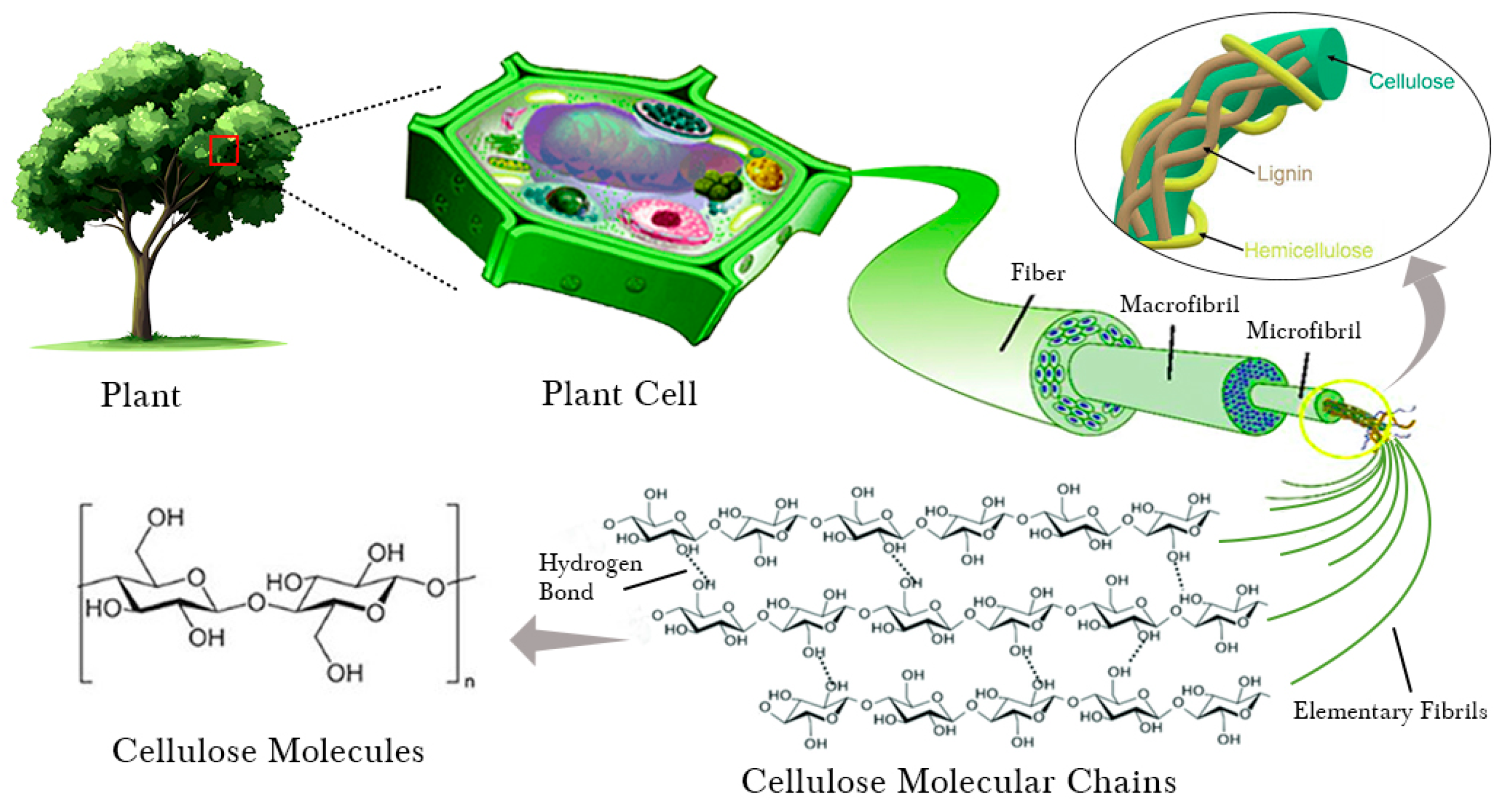 Molecules 30 02670 g001