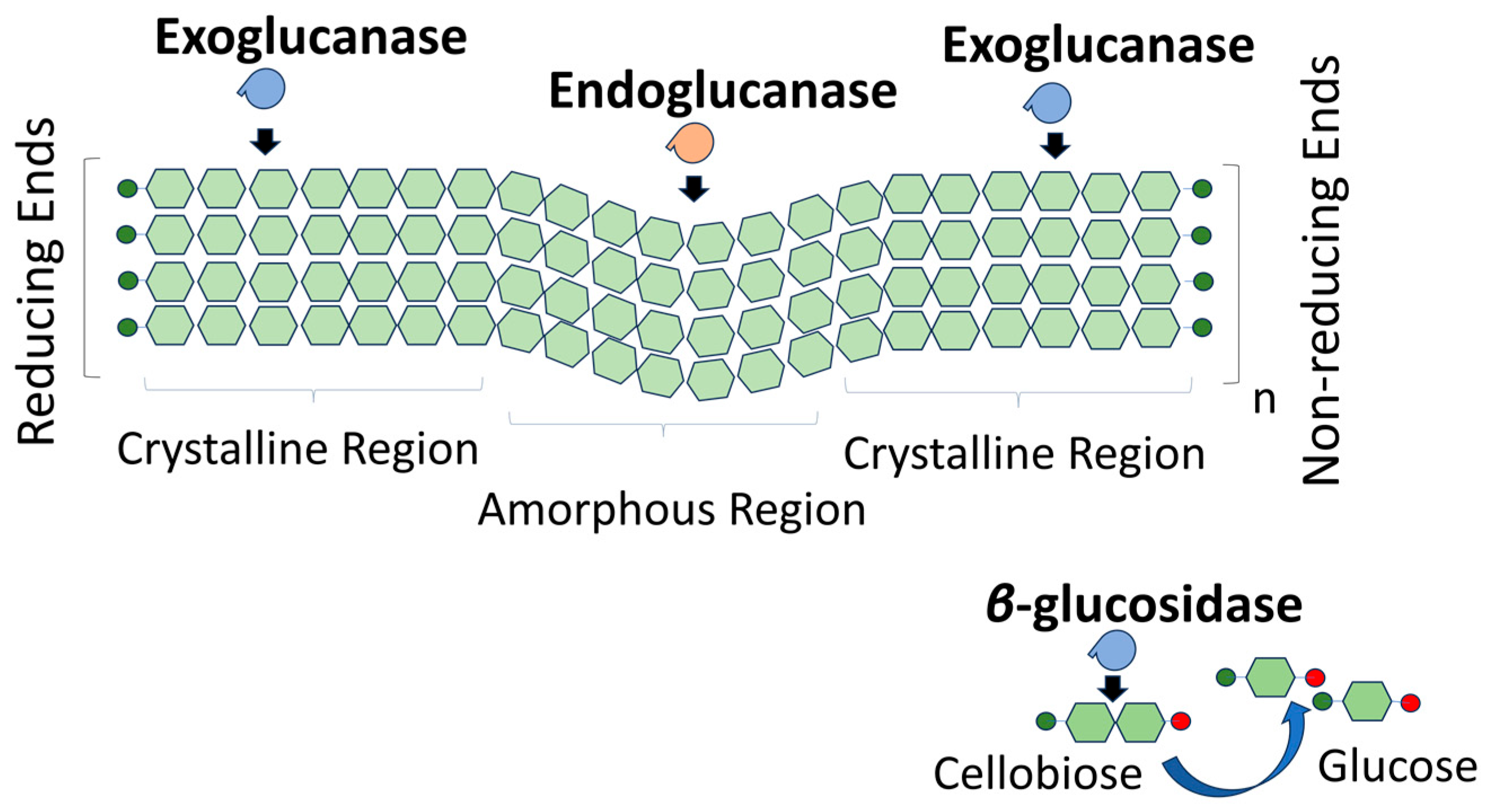 Molecules 30 02670 g002