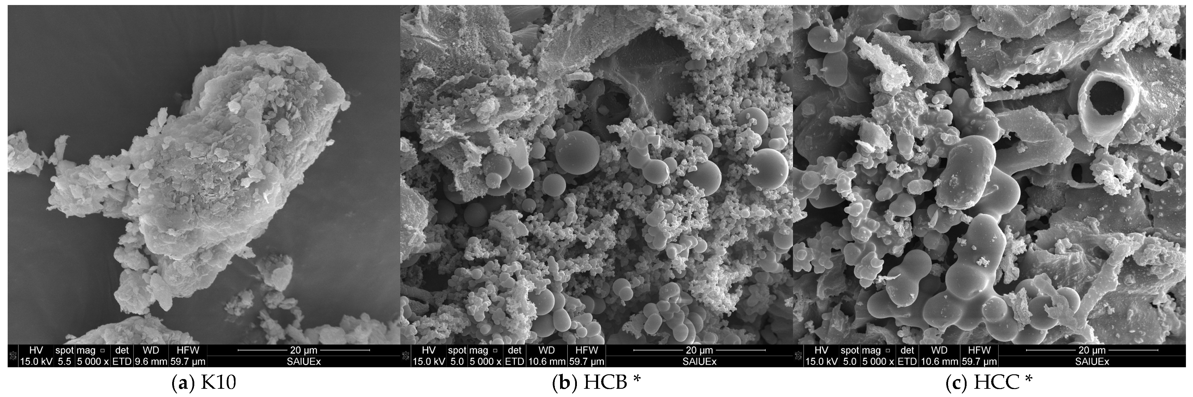 Molecules 30 02674 g004