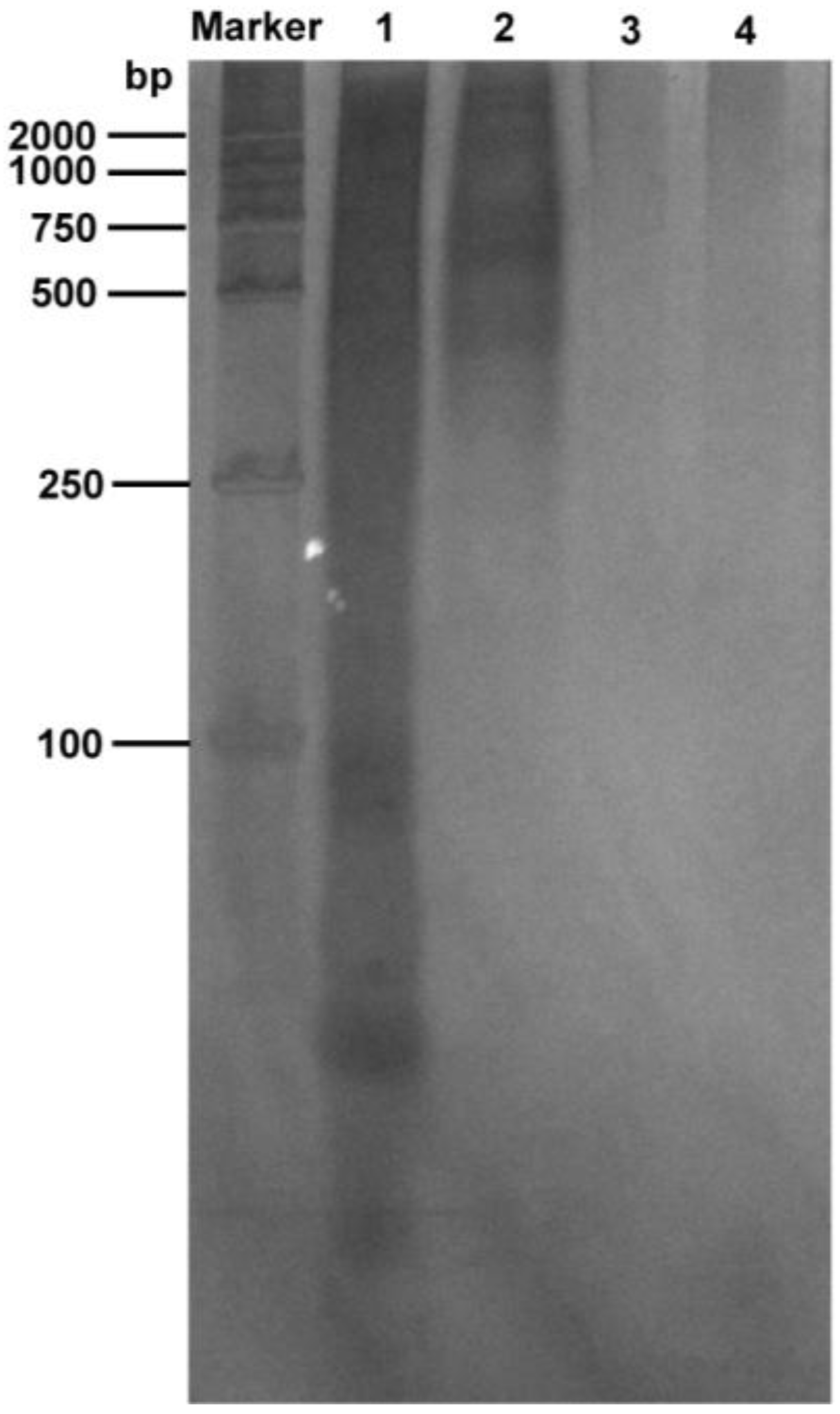 Molecules 30 02679 g004