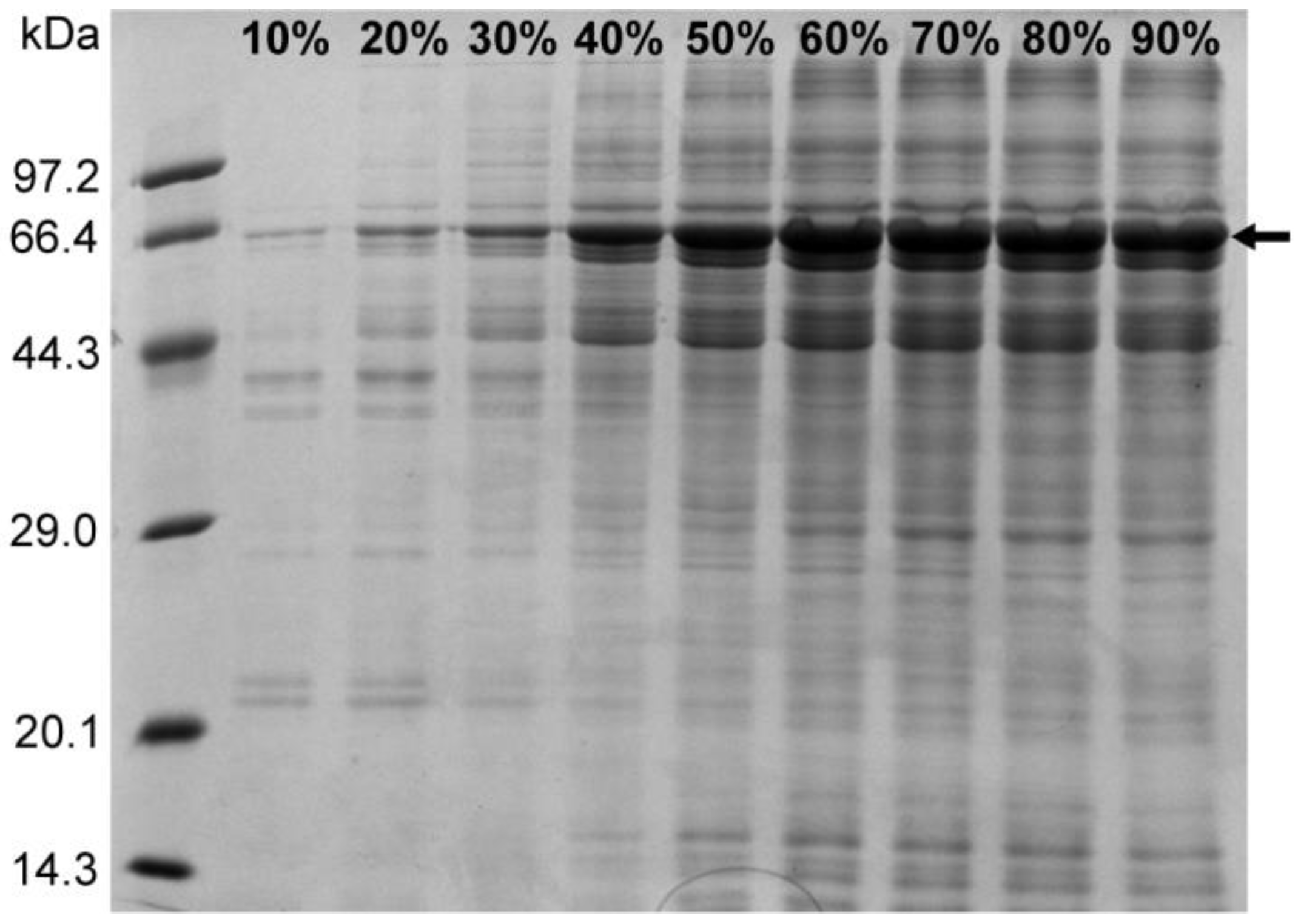 Molecules 30 02679 g005