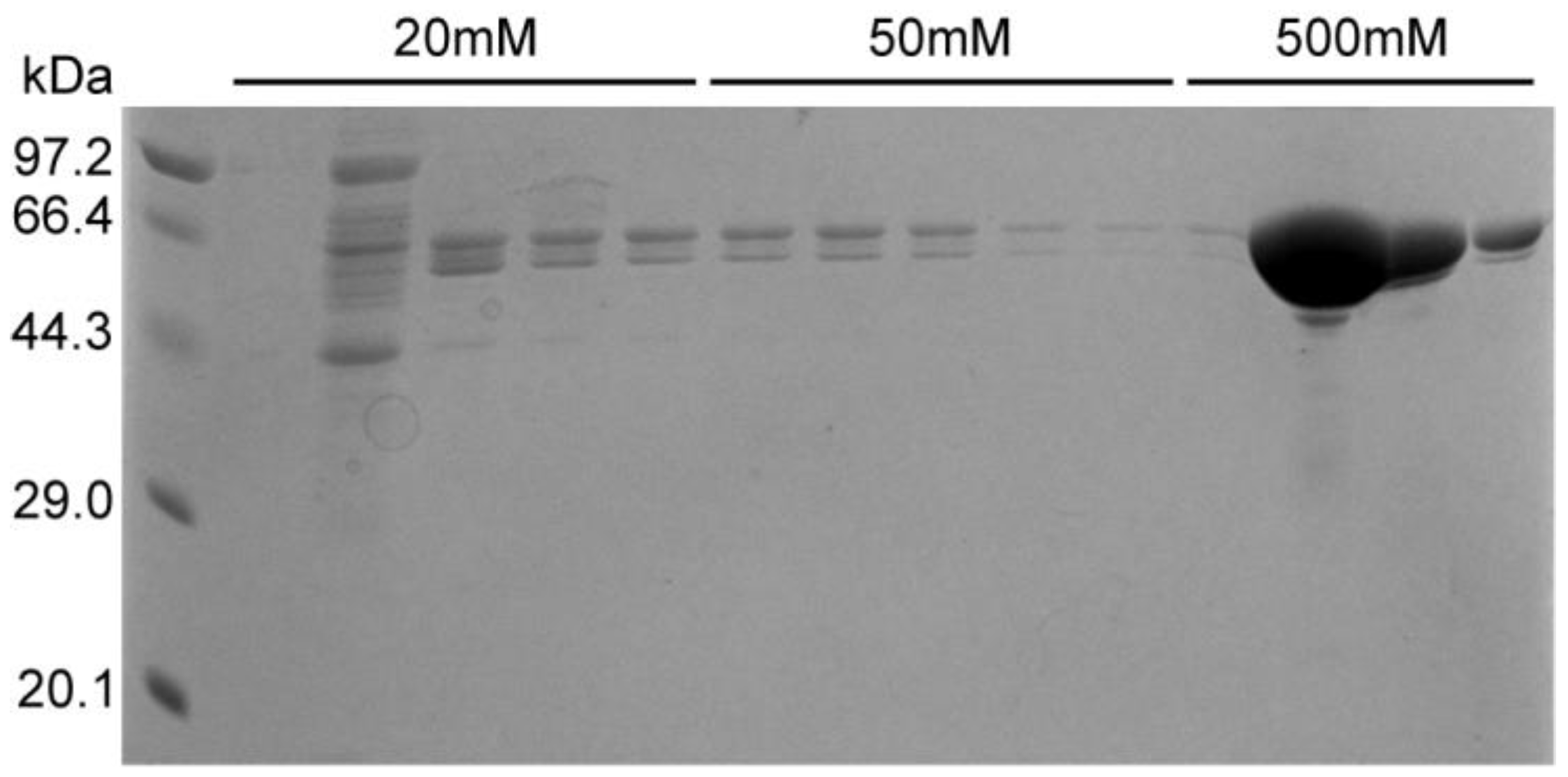 Molecules 30 02679 g007