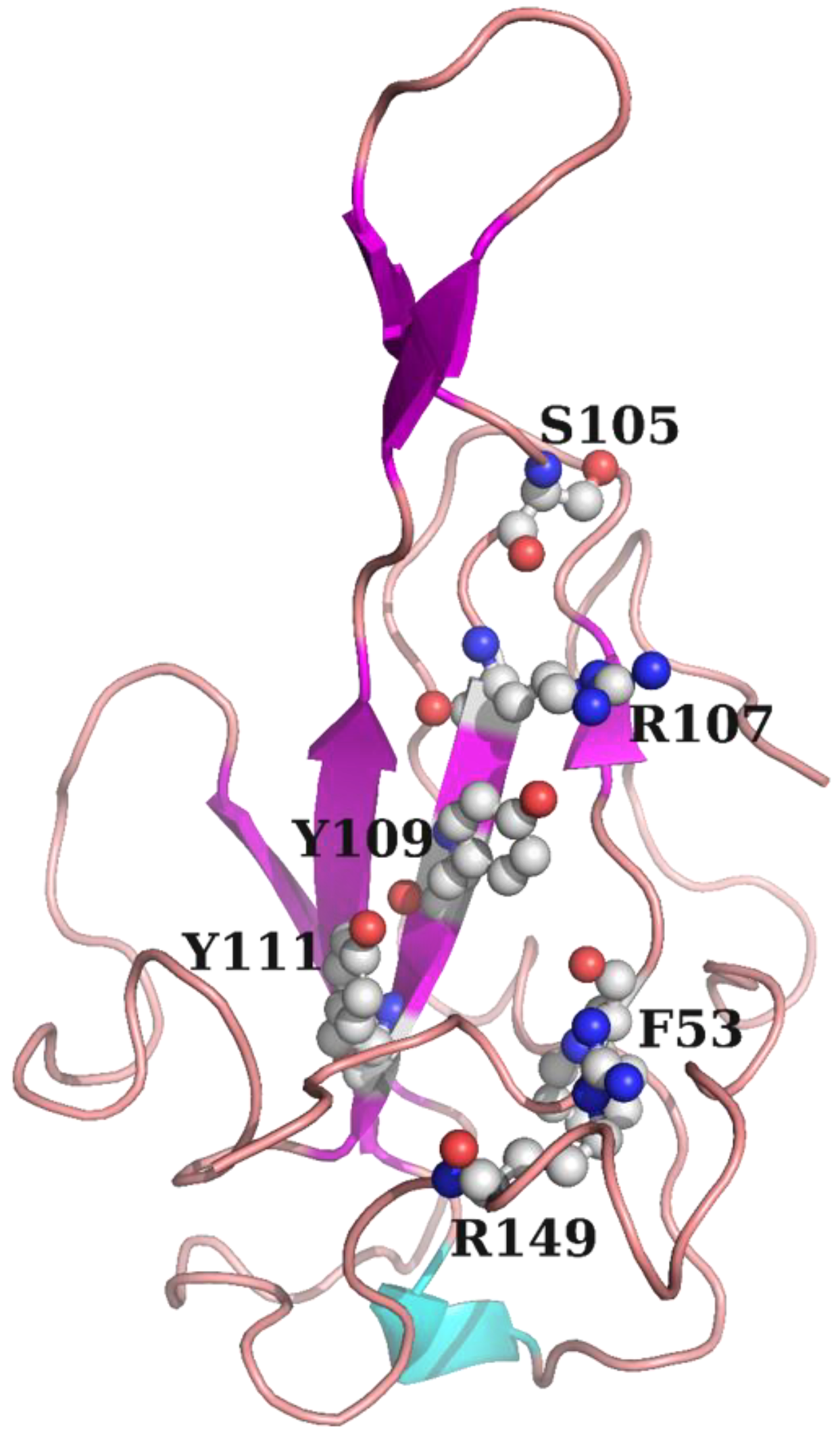 Molecules 30 02679 g008