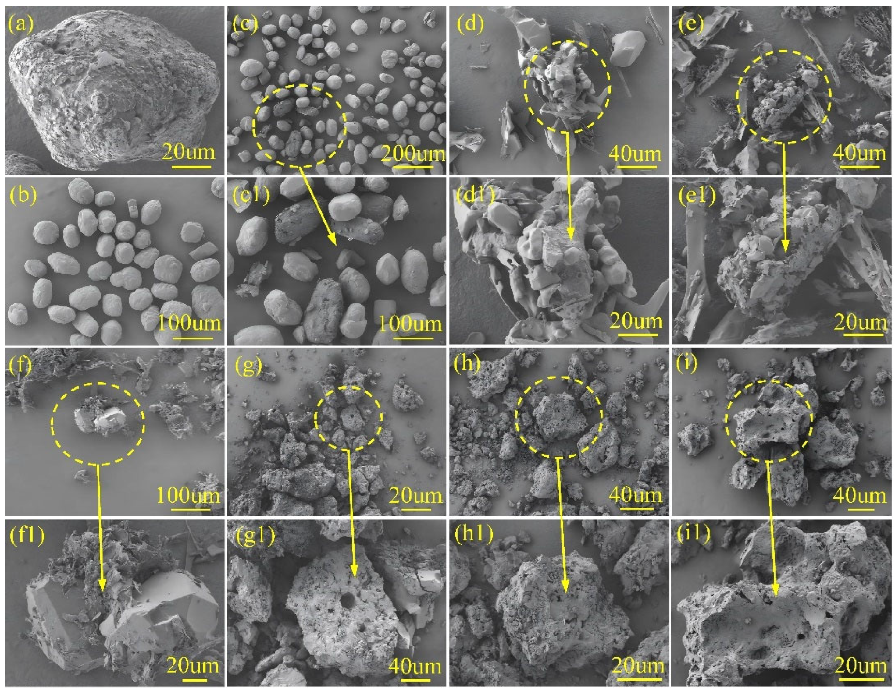 Molecules 30 02680 g001