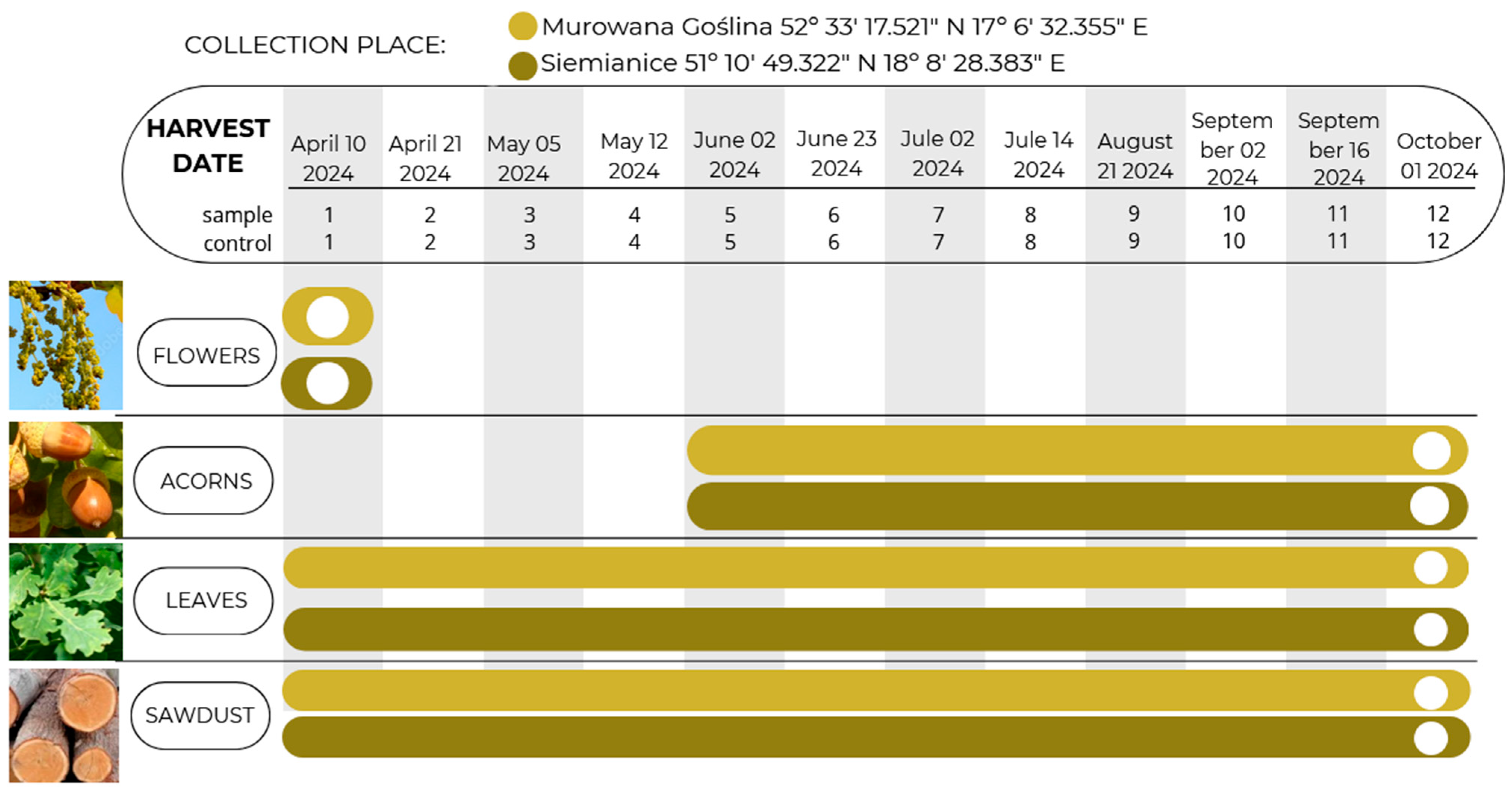 Molecules 30 02687 g002