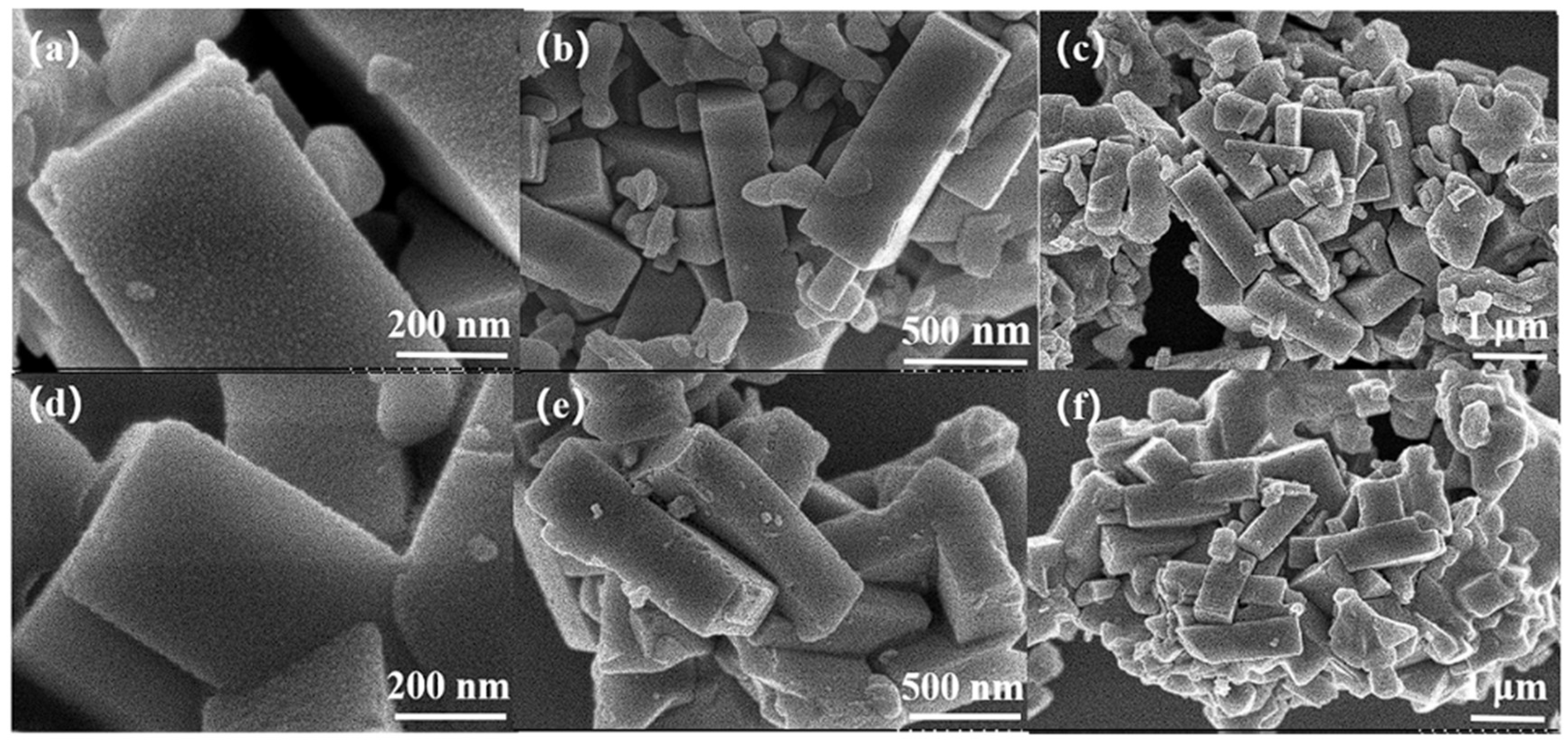 Molecules 30 02691 g010