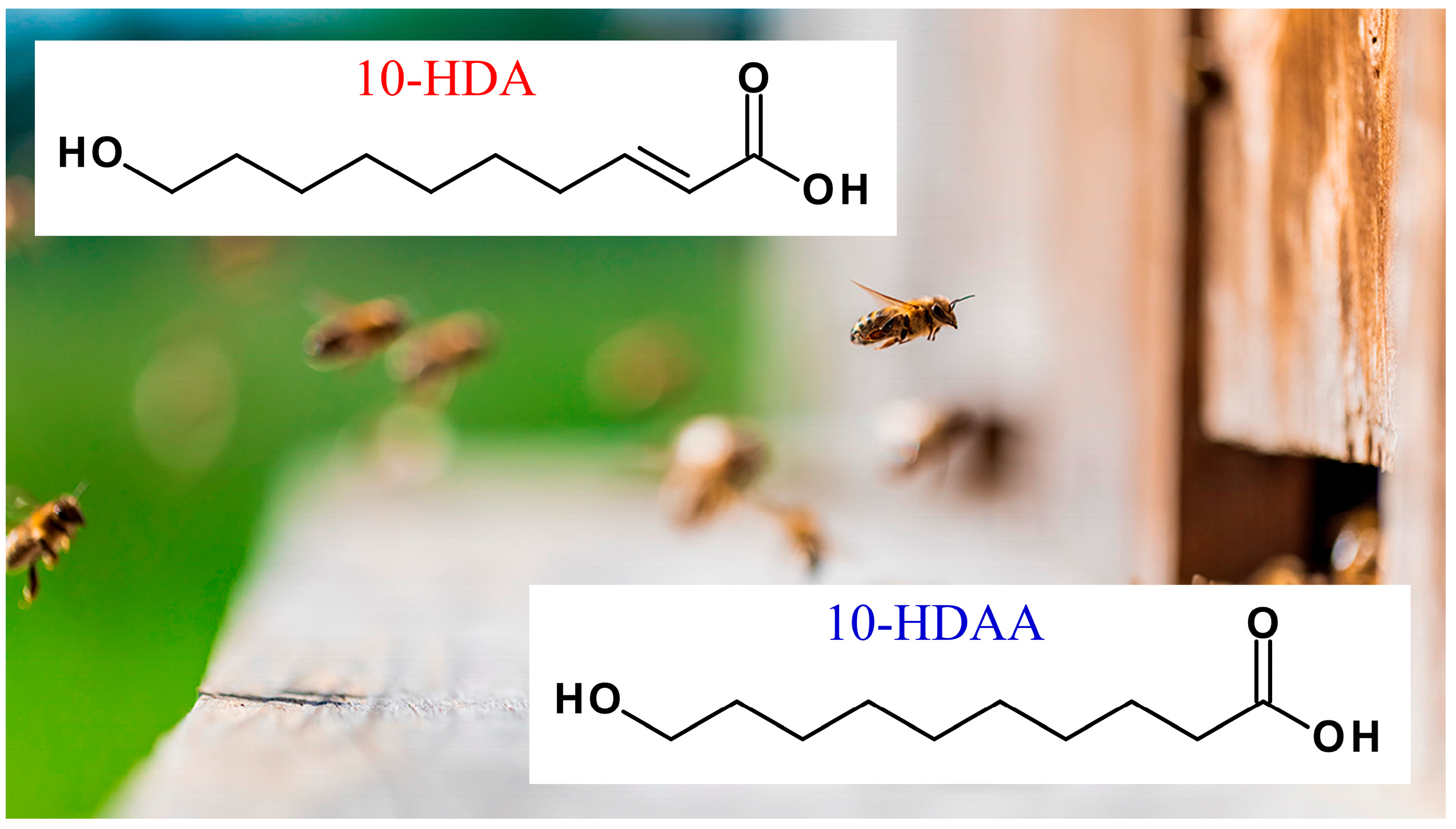 Molecules 30 02694 g002