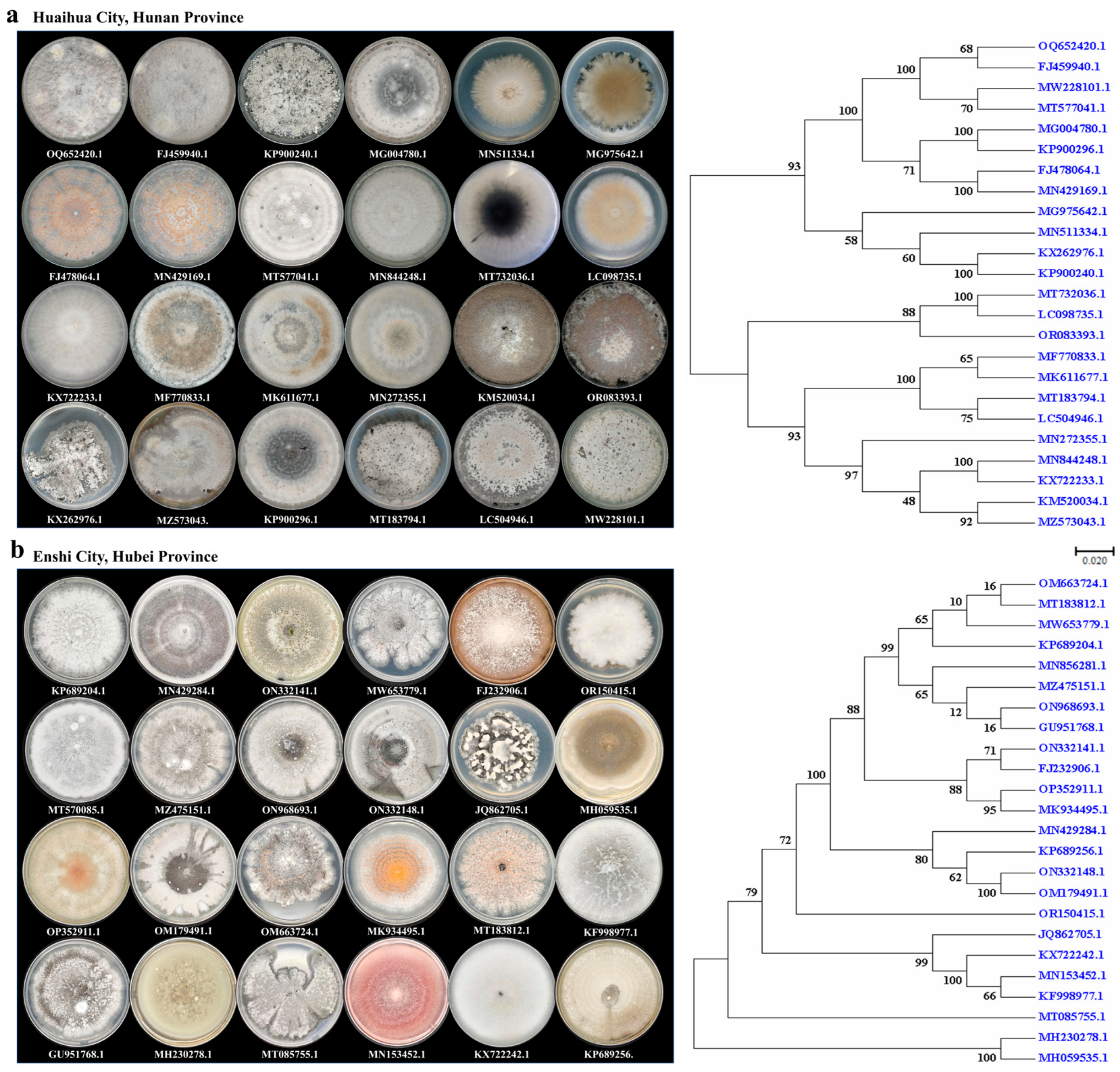 Molecules 30 02704 g002