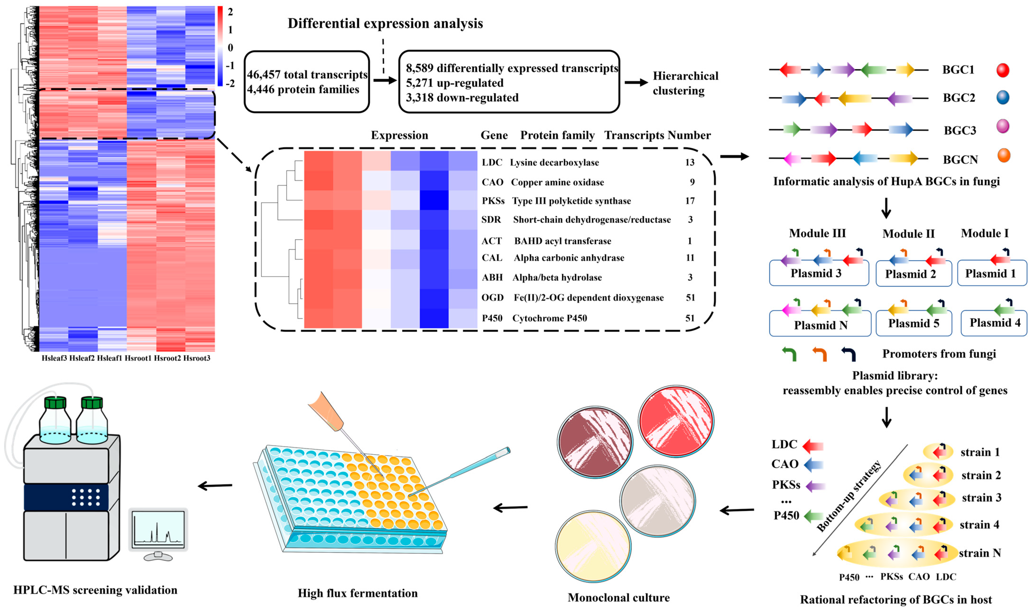 Molecules 30 02704 g006